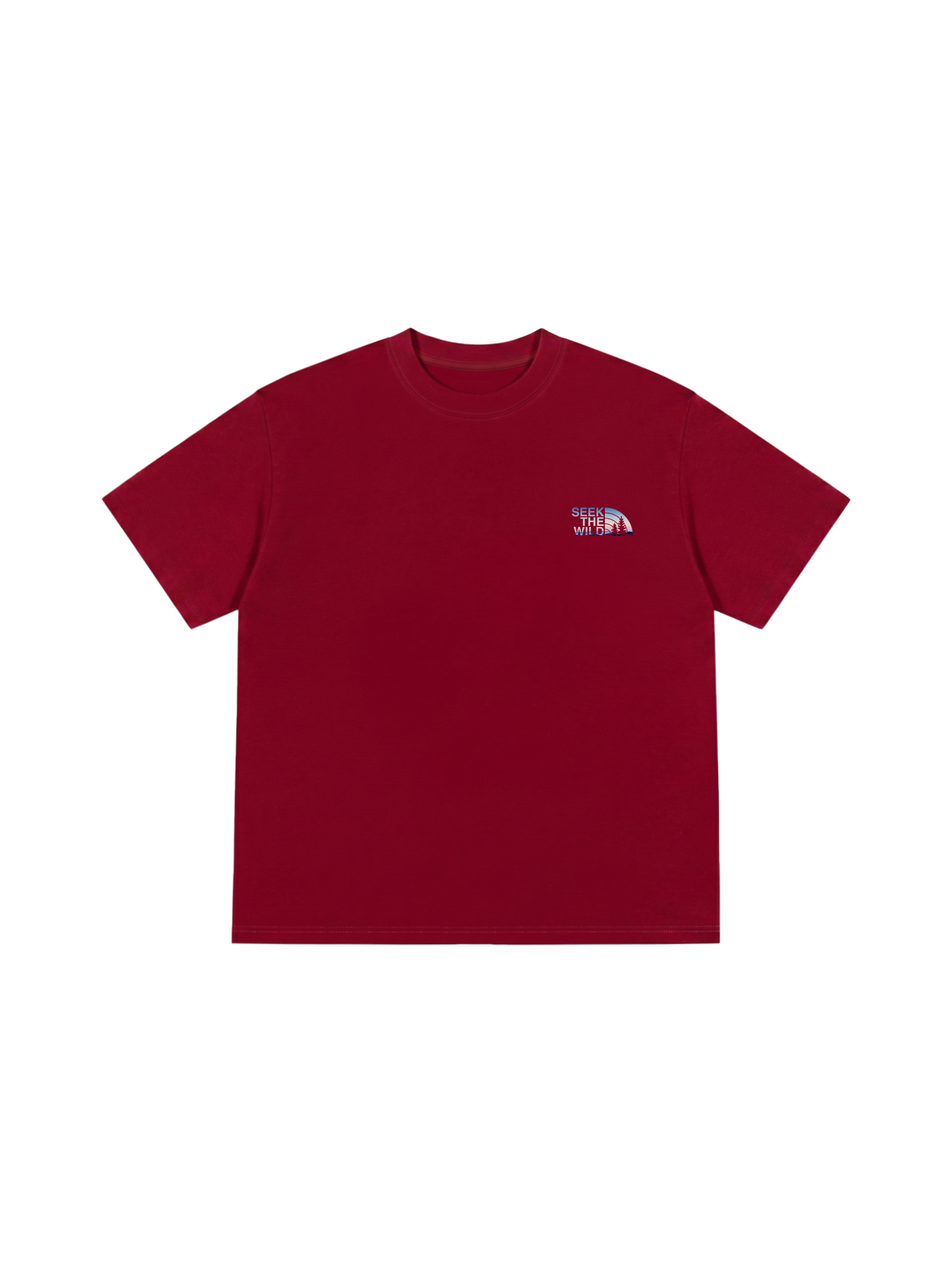 Áo Thun Relaxed Fit Adventure STW Wild Horizon