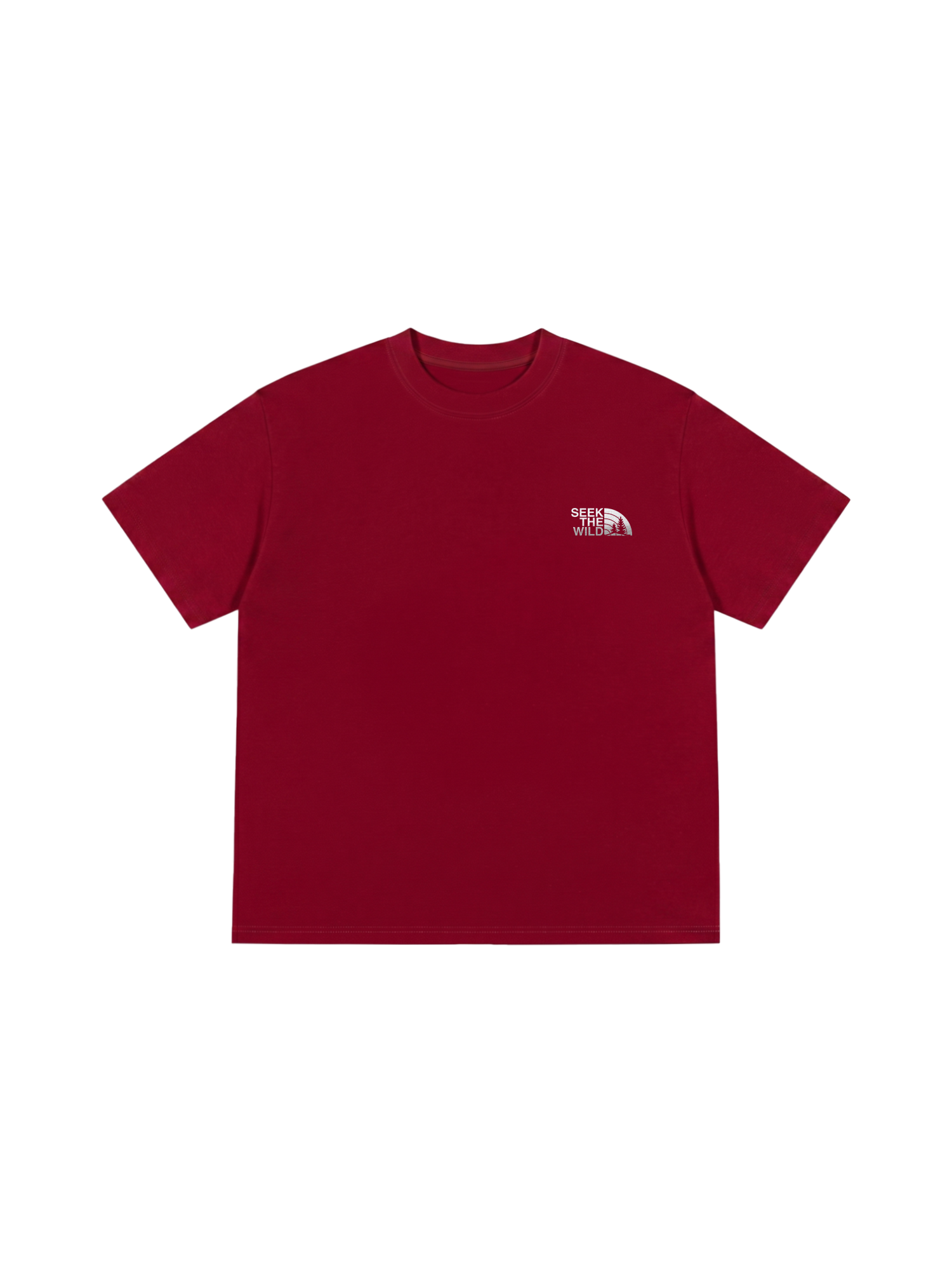 Áo Thun Relaxed Fit Adventure STW Silver