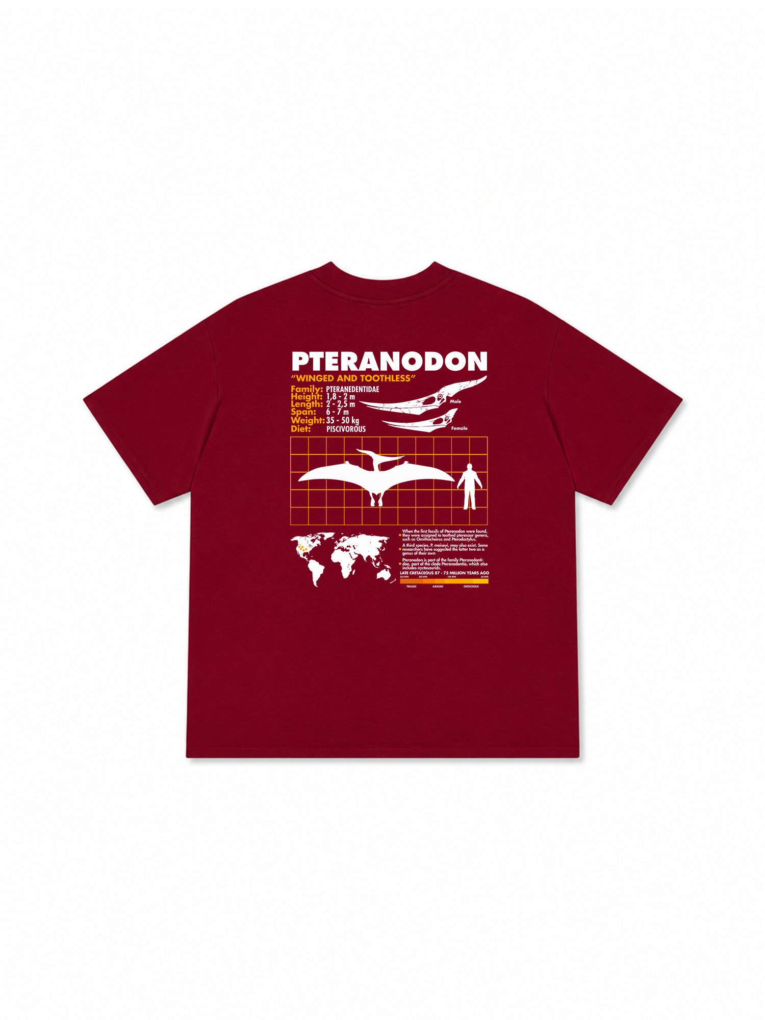 Áo Thun Relaxed Fit Analysis Table Pteranodon