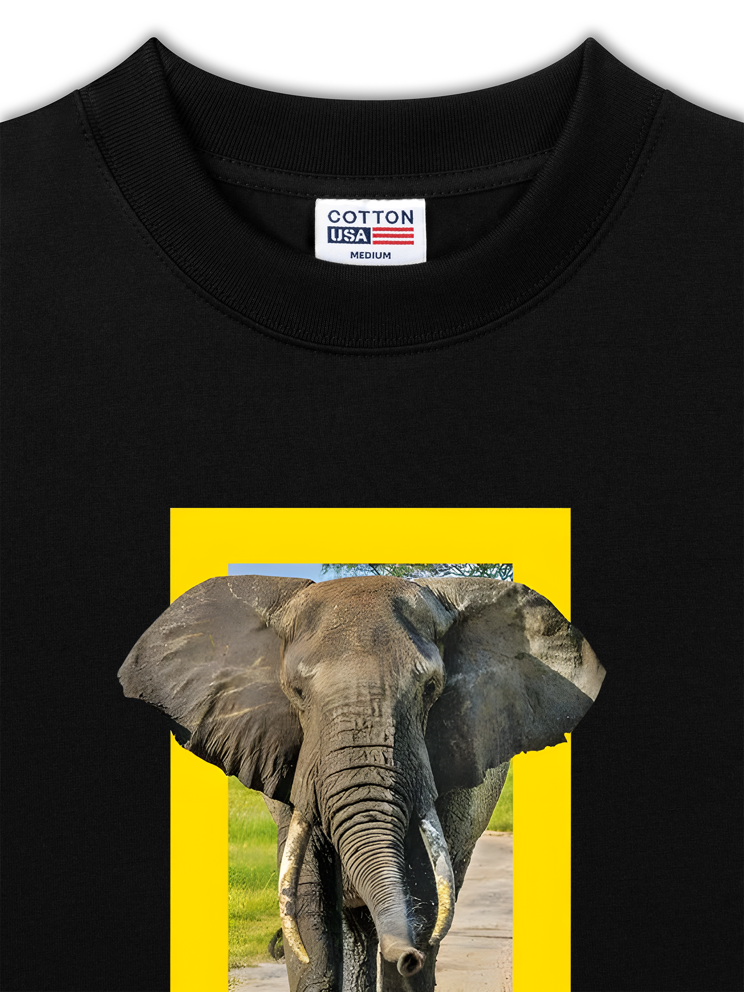 Áo Thun Relaxed Fit Wild Life Nature's Great