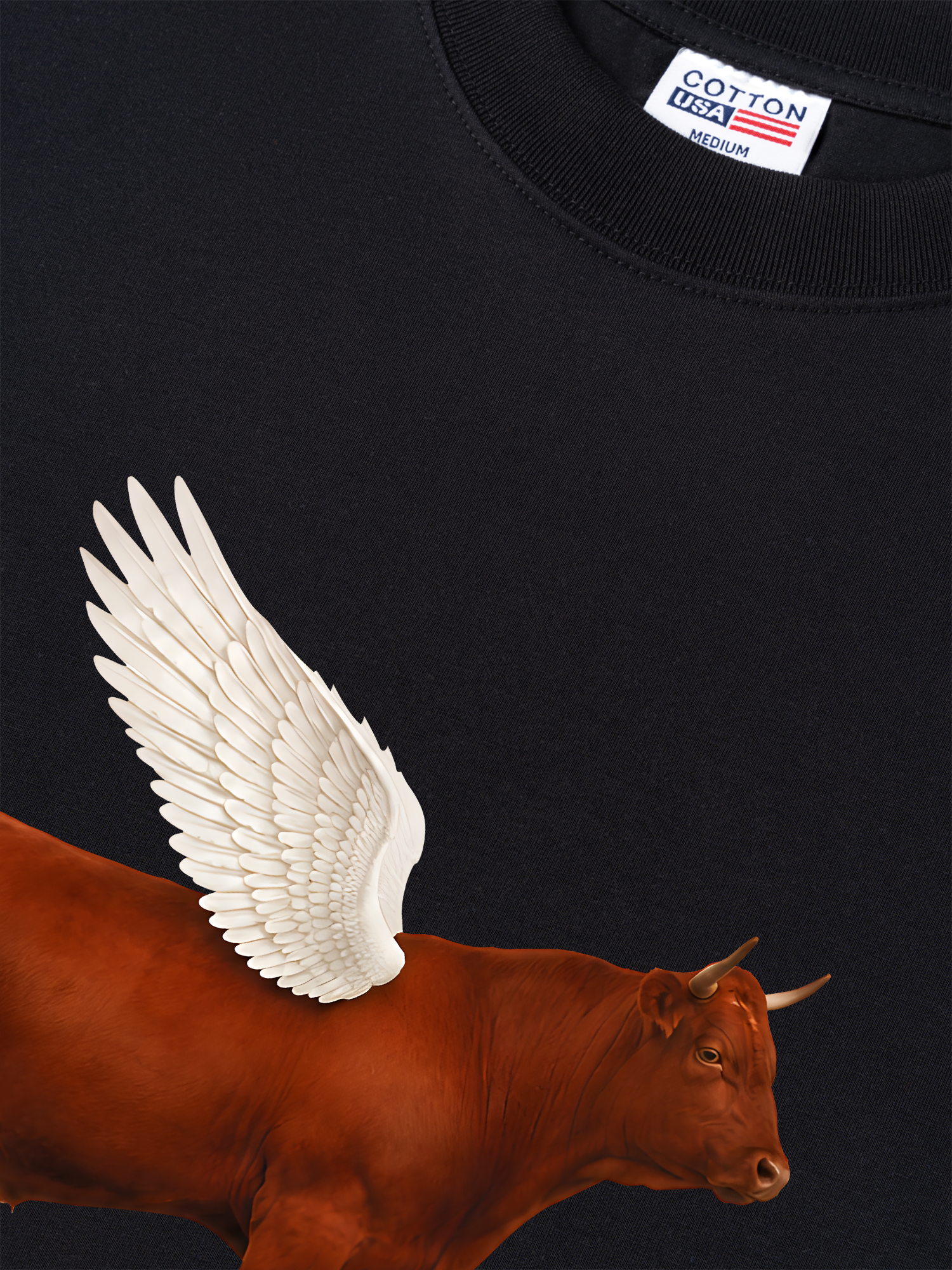 Áo Thun Relaxed Fit Find Your Wings