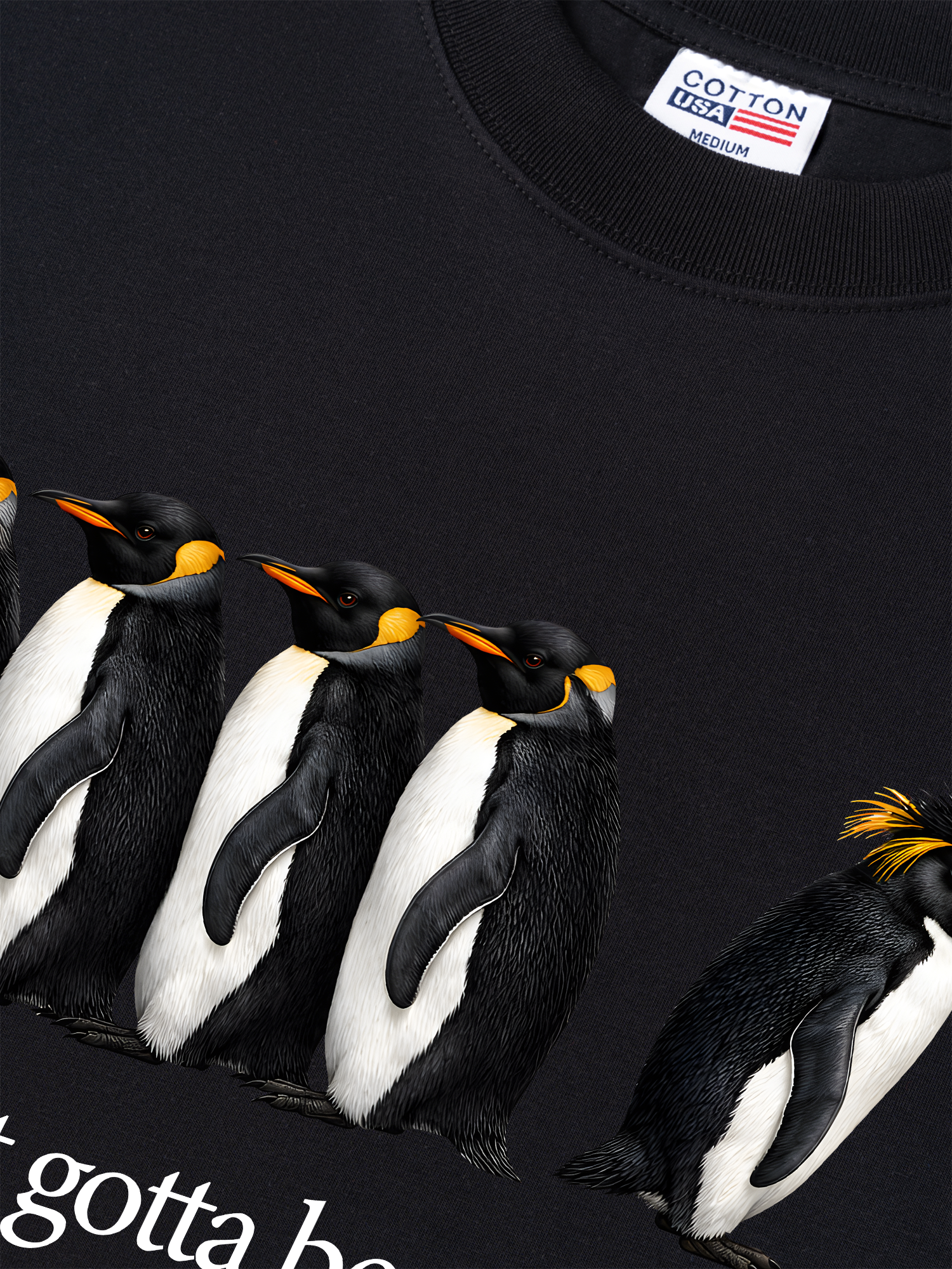 Áo Thun Relaxed Fit I Just Gotta Be Me Penguin