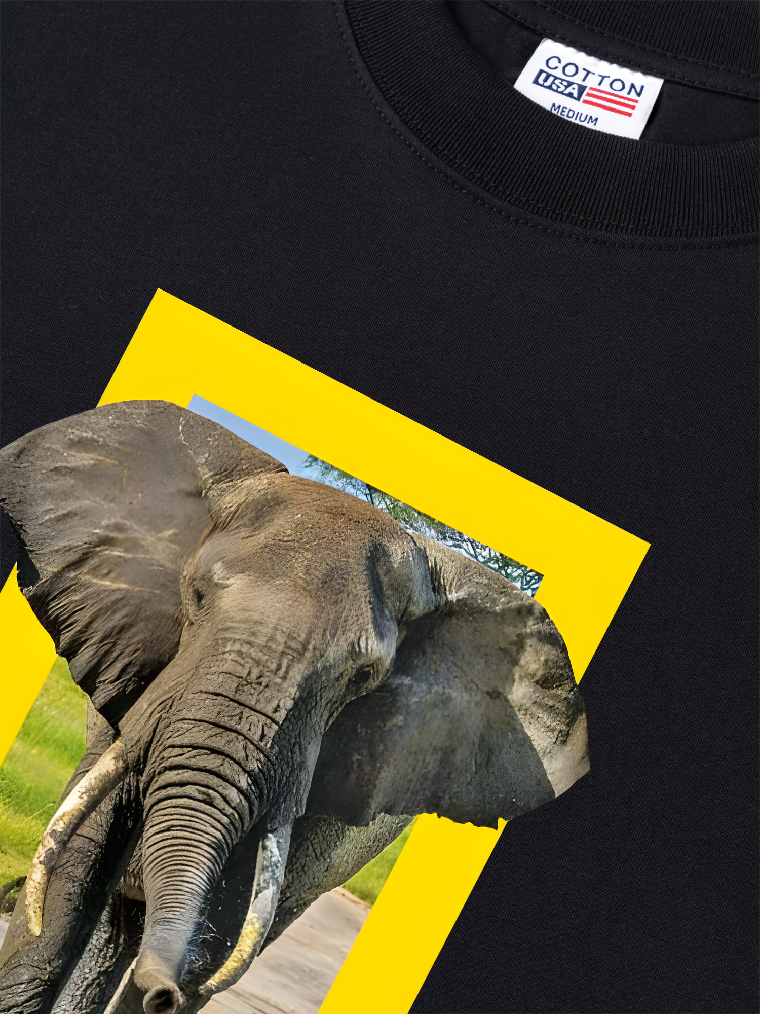 Áo Thun Relaxed Fit Wild Life Nature's Great