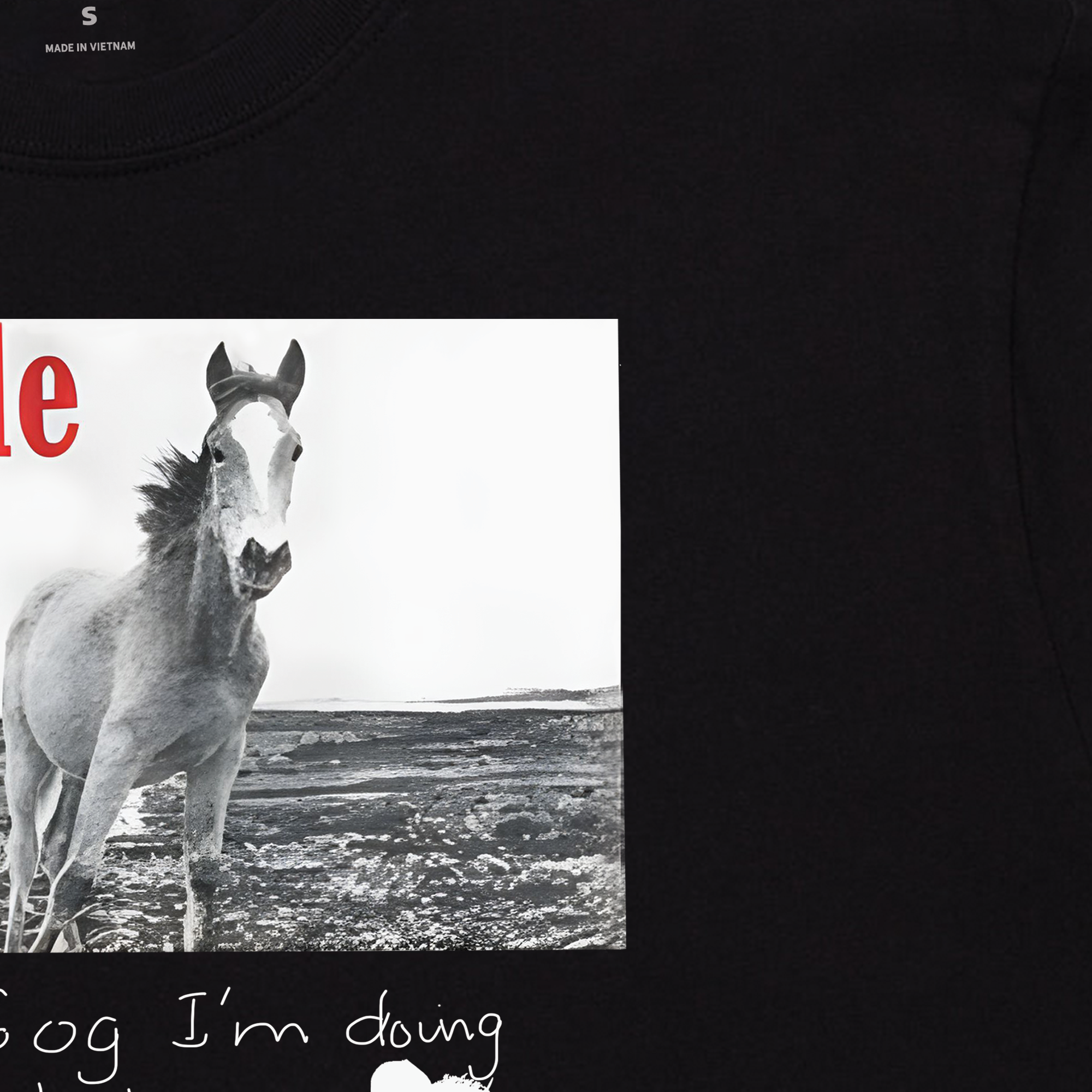 Áo Thun Oversize RHUDE HORSE