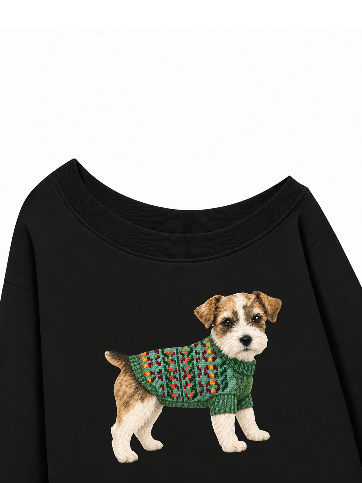 Áo Sweater Lệch Vai Nỉ Hai Da Little Buddy