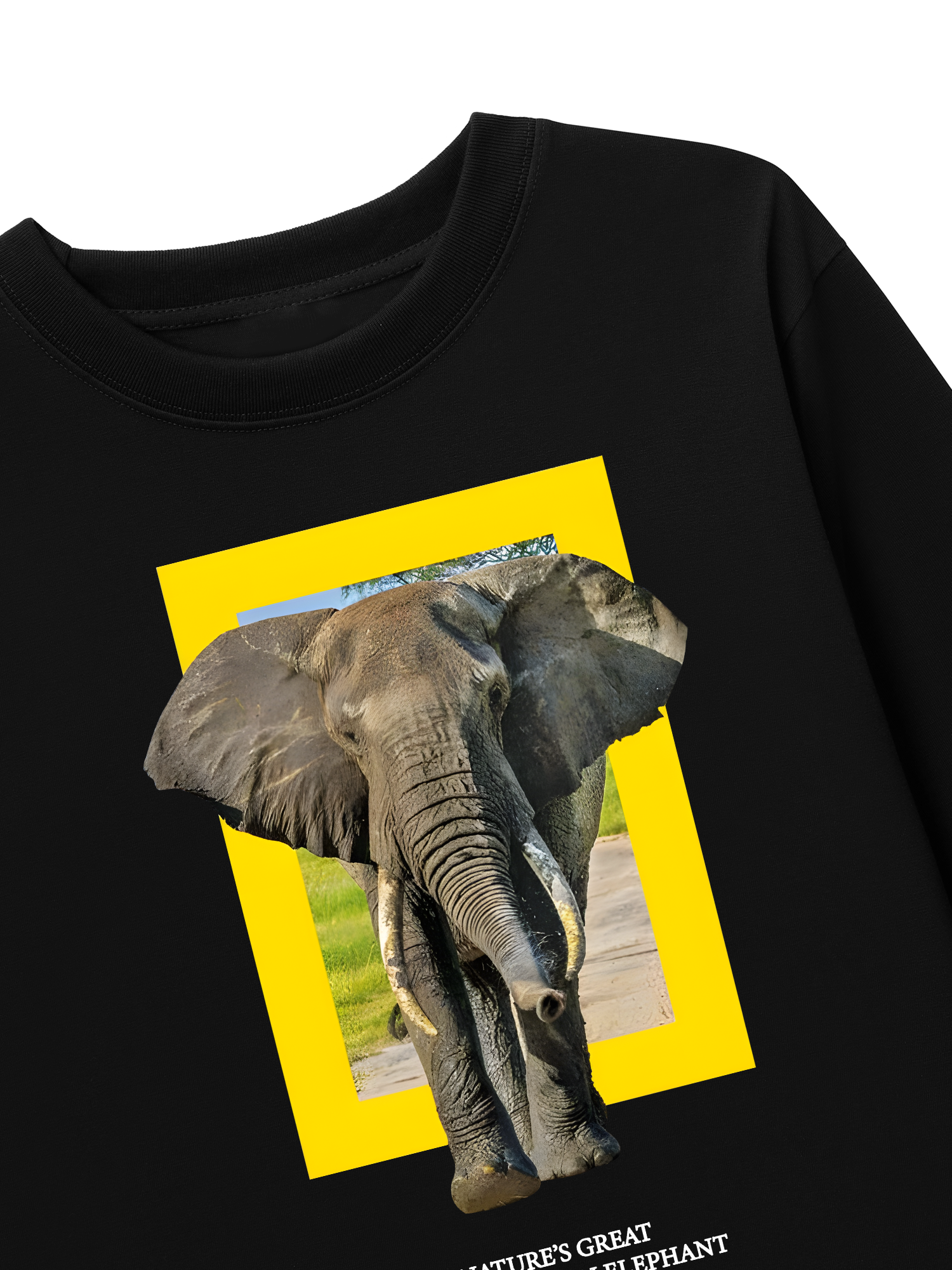 Áo Thun Dài Tay Wild Life Nature's Great