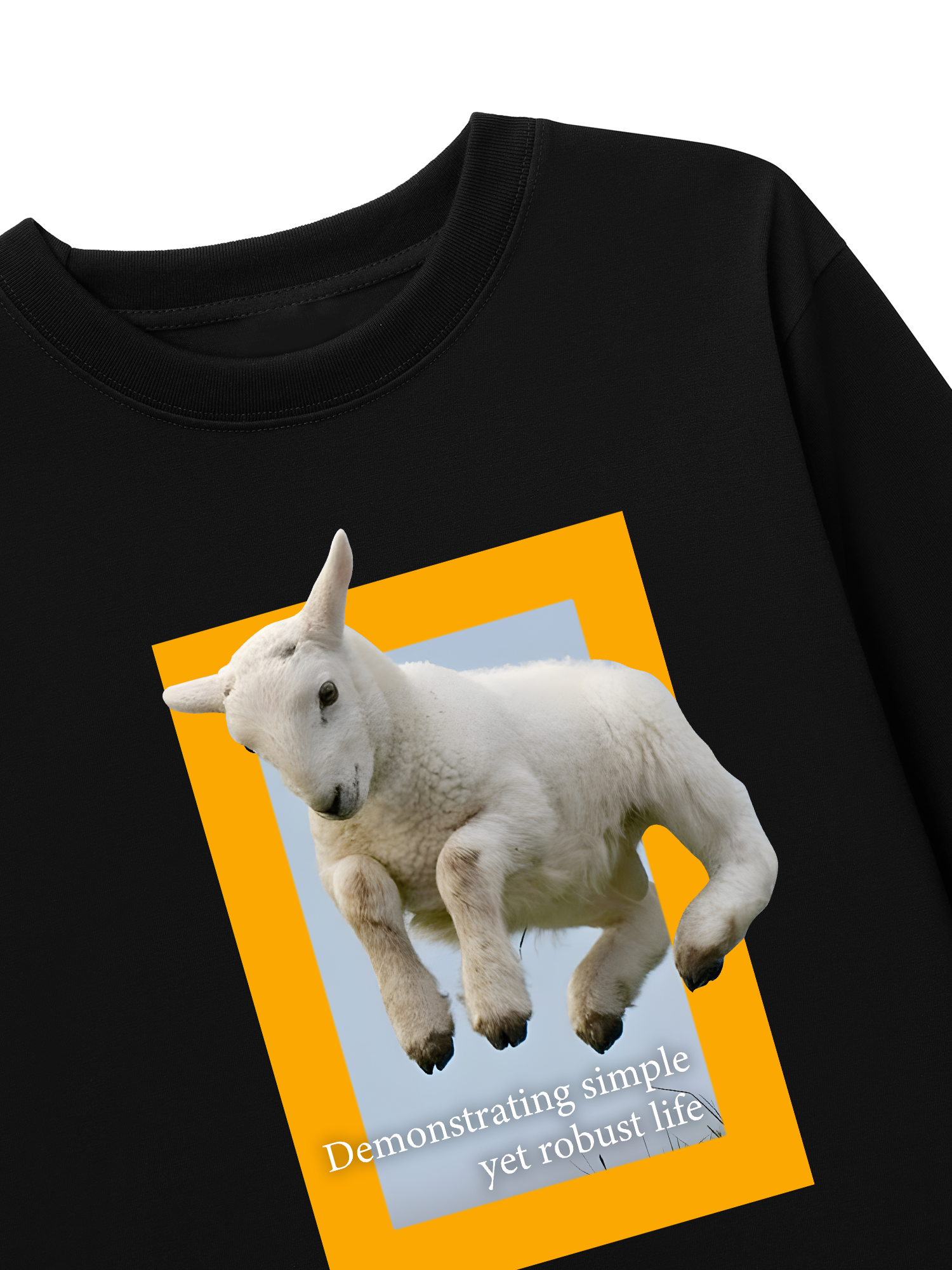 Áo Thun Dài Tay Wild Life Demonstrating Simple