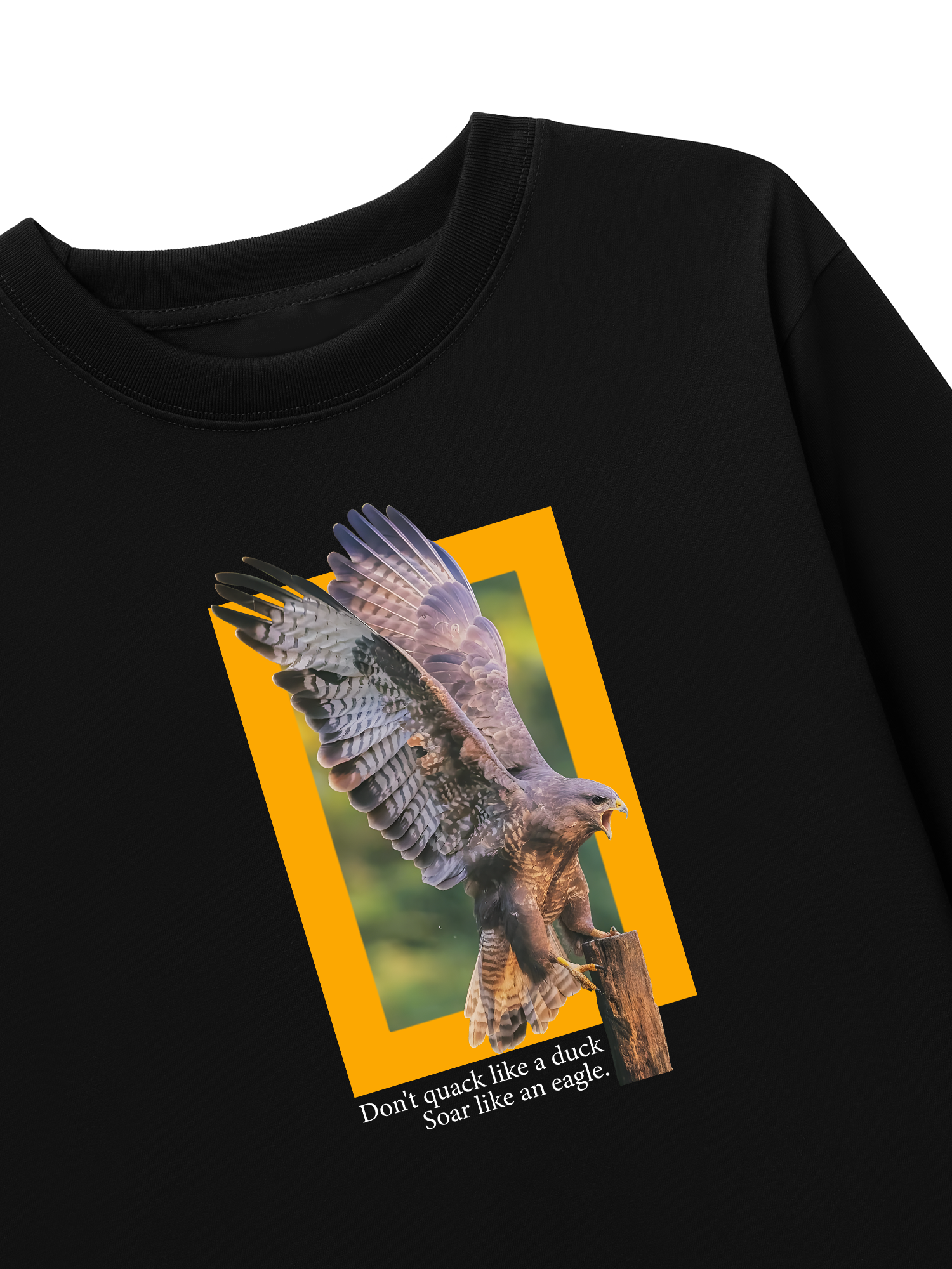 Áo Thun Dài Tay Wild Life Soar Like An Eagle