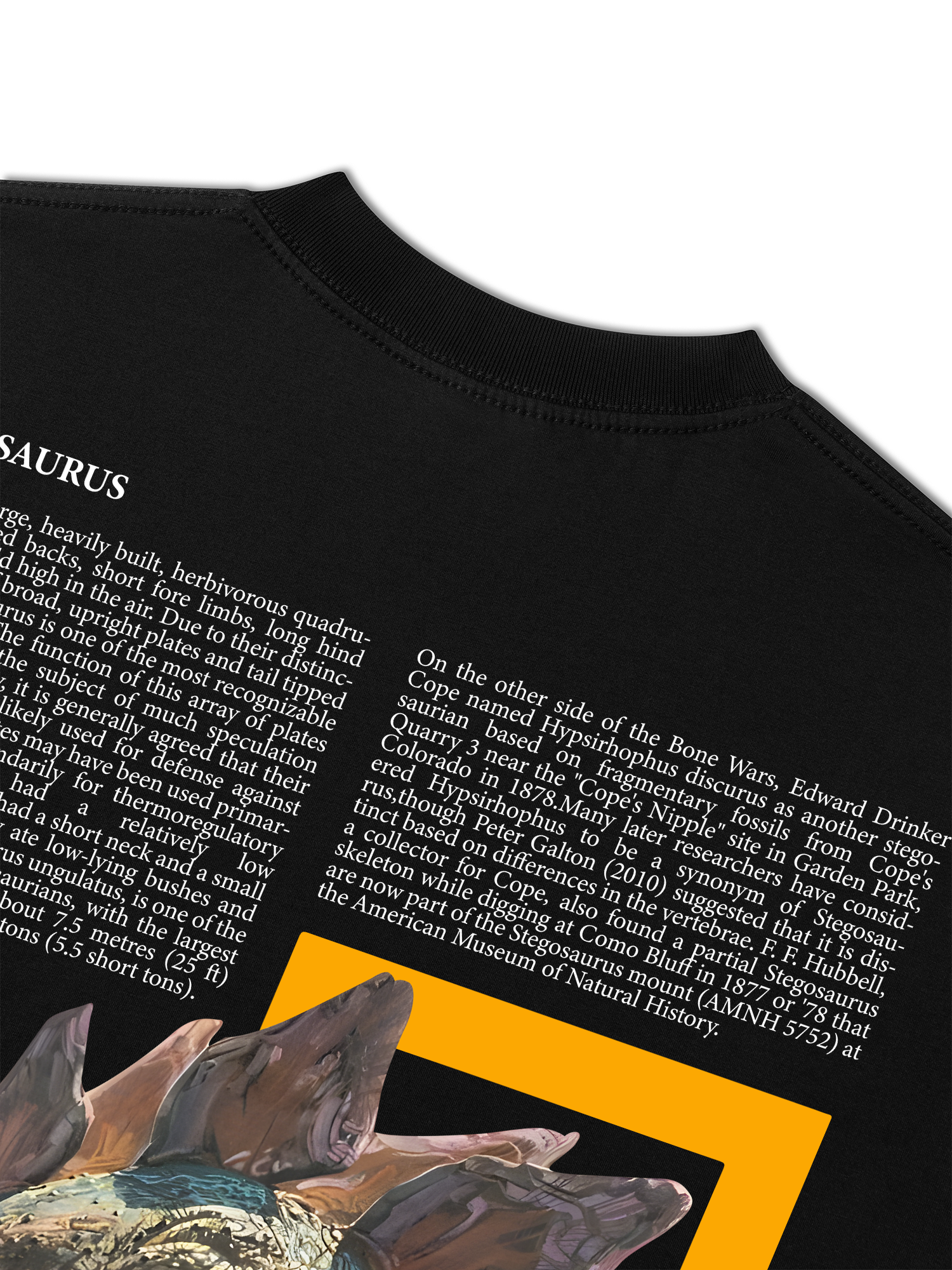 Áo Thun Relaxed Fit Wild Life Stegosaurus