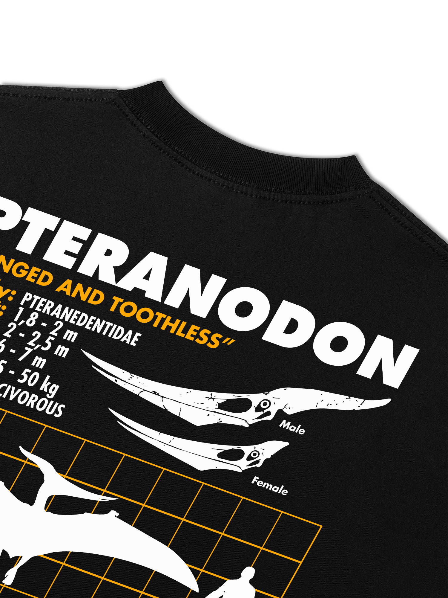 Áo Thun Relaxed Fit Analysis Table Pteranodon