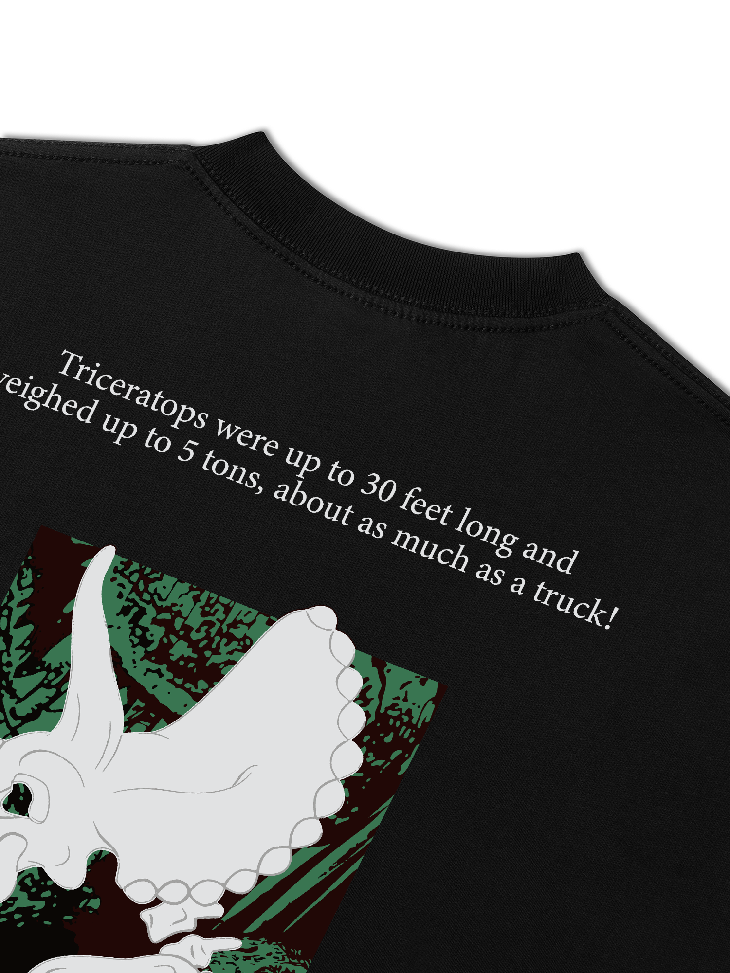 Áo Thun Relaxed Fit Triceratops