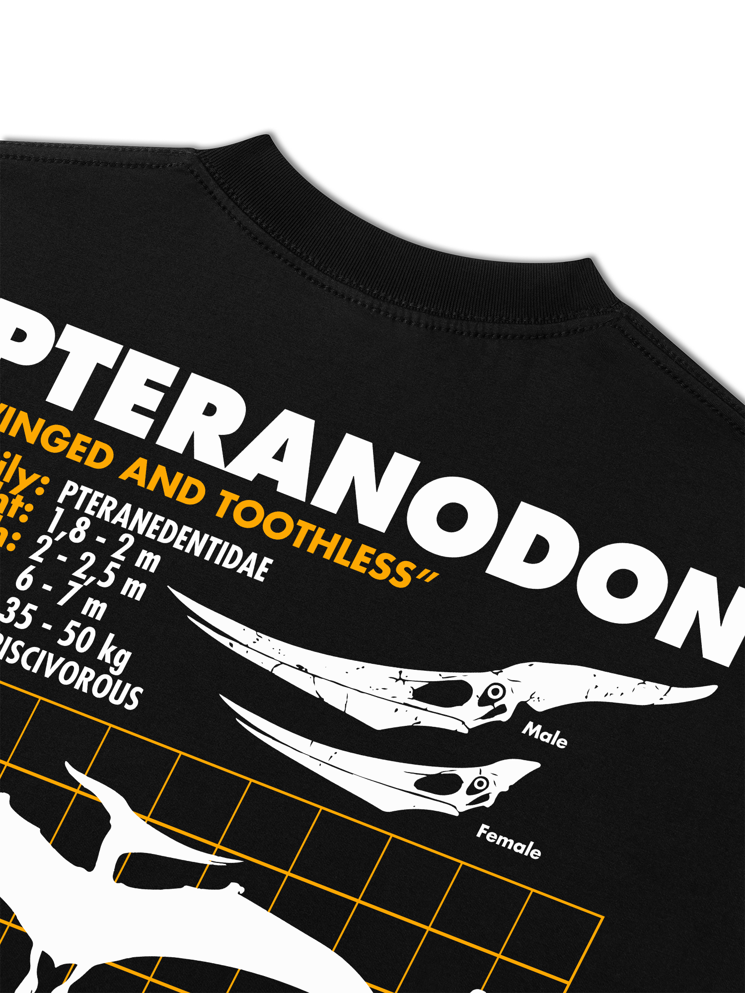 Áo Thun Relaxed Fit Wild Life Analysis Table Pteranodon