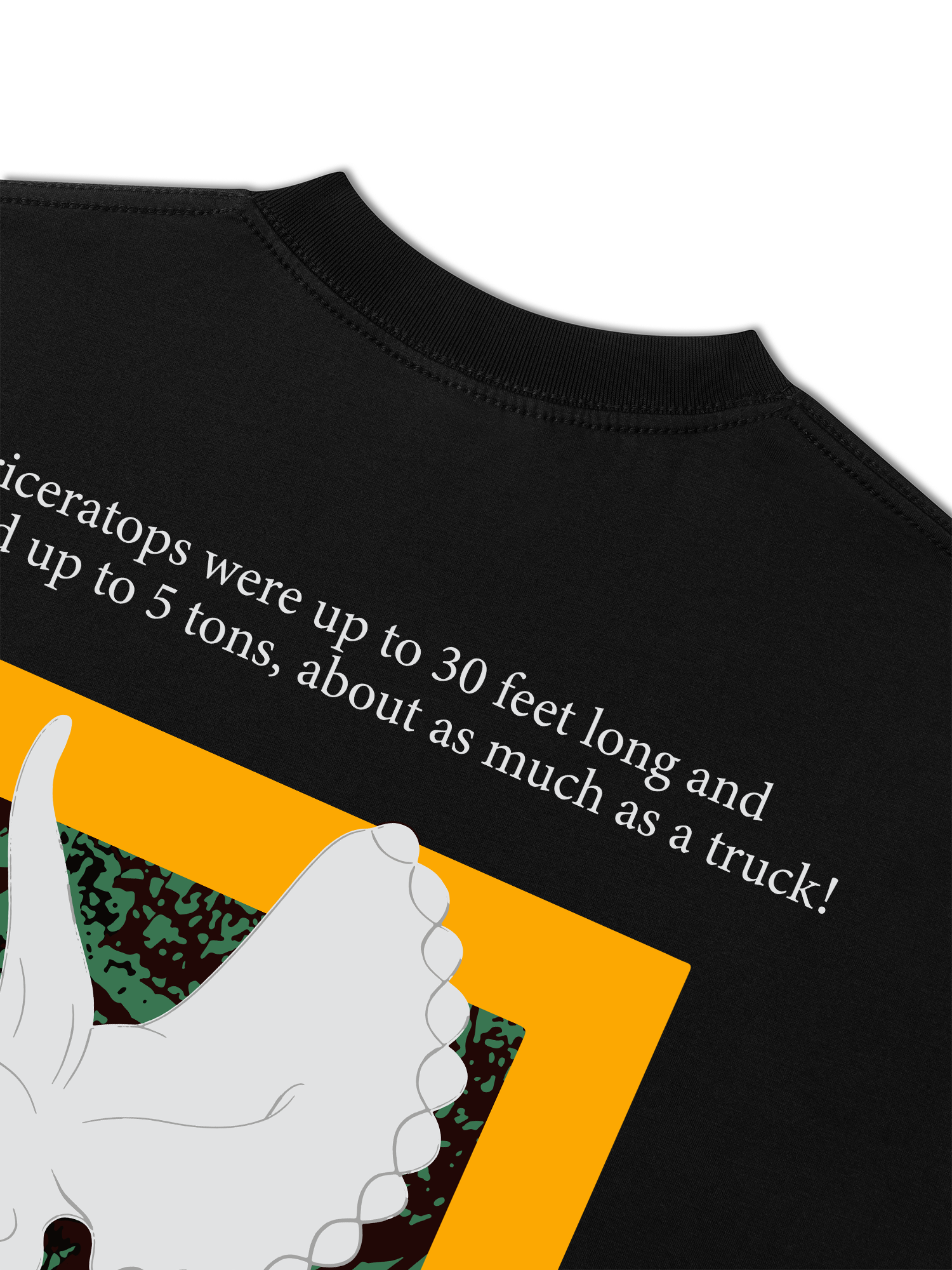 Áo Thun Relaxed Fit Wild Life Triceratops