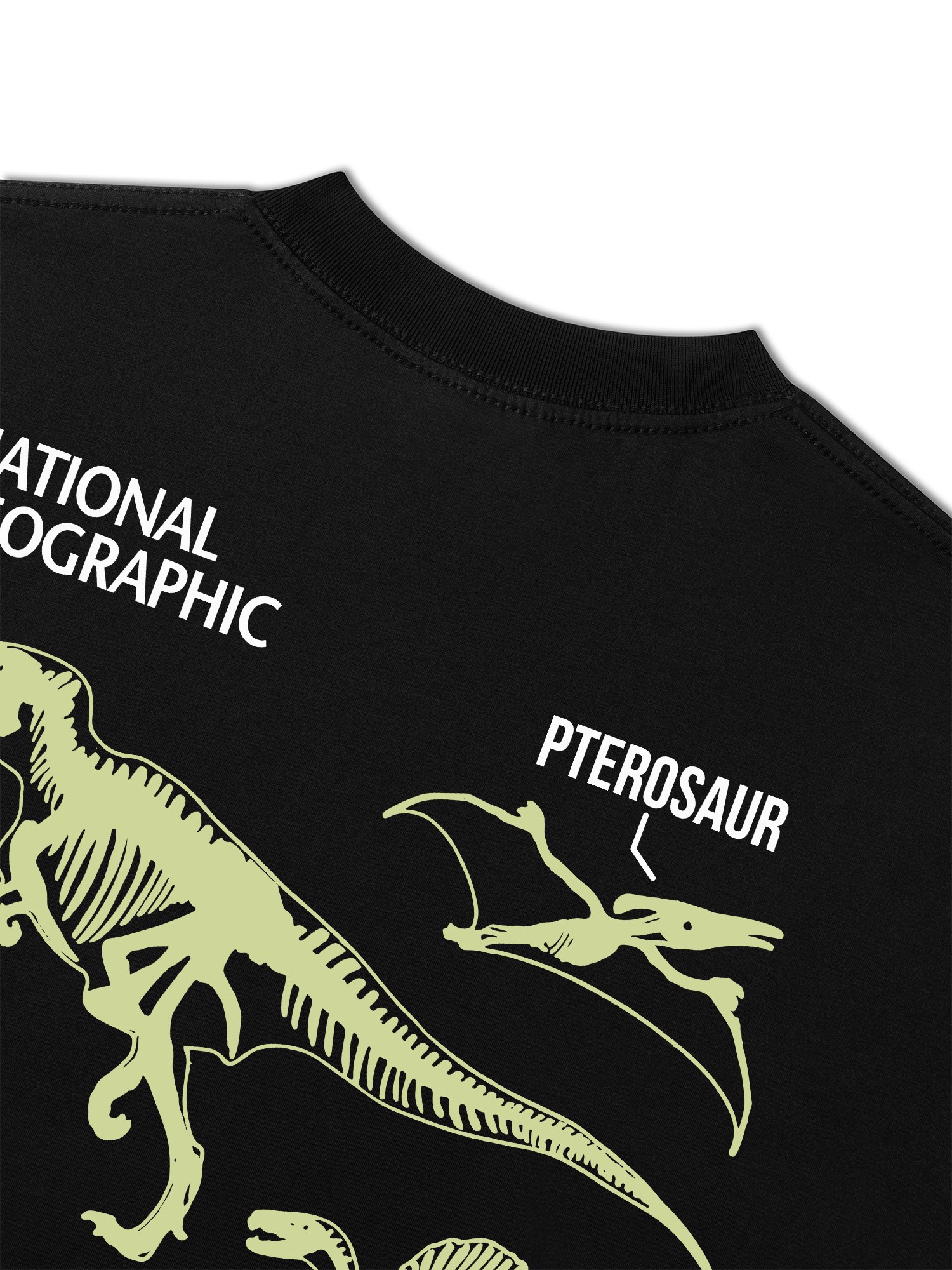 Áo Thun Relaxed Fit Wild Life World Of Dino