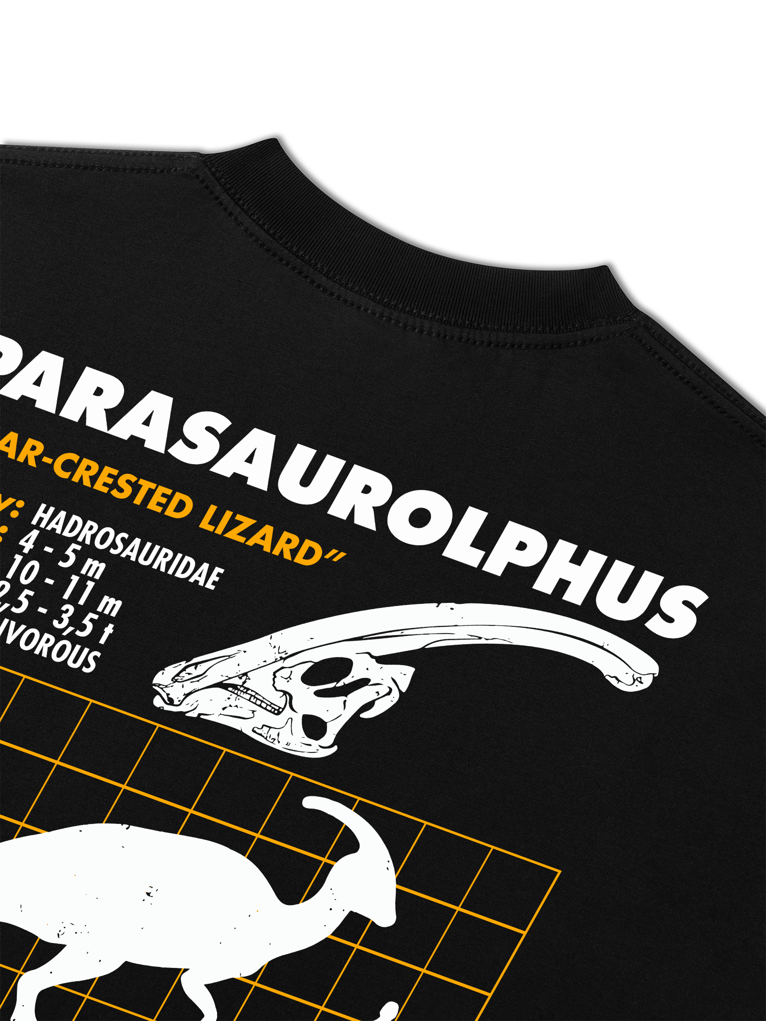 Áo Thun Relaxed Fit Analysis Table Parasaurolphus