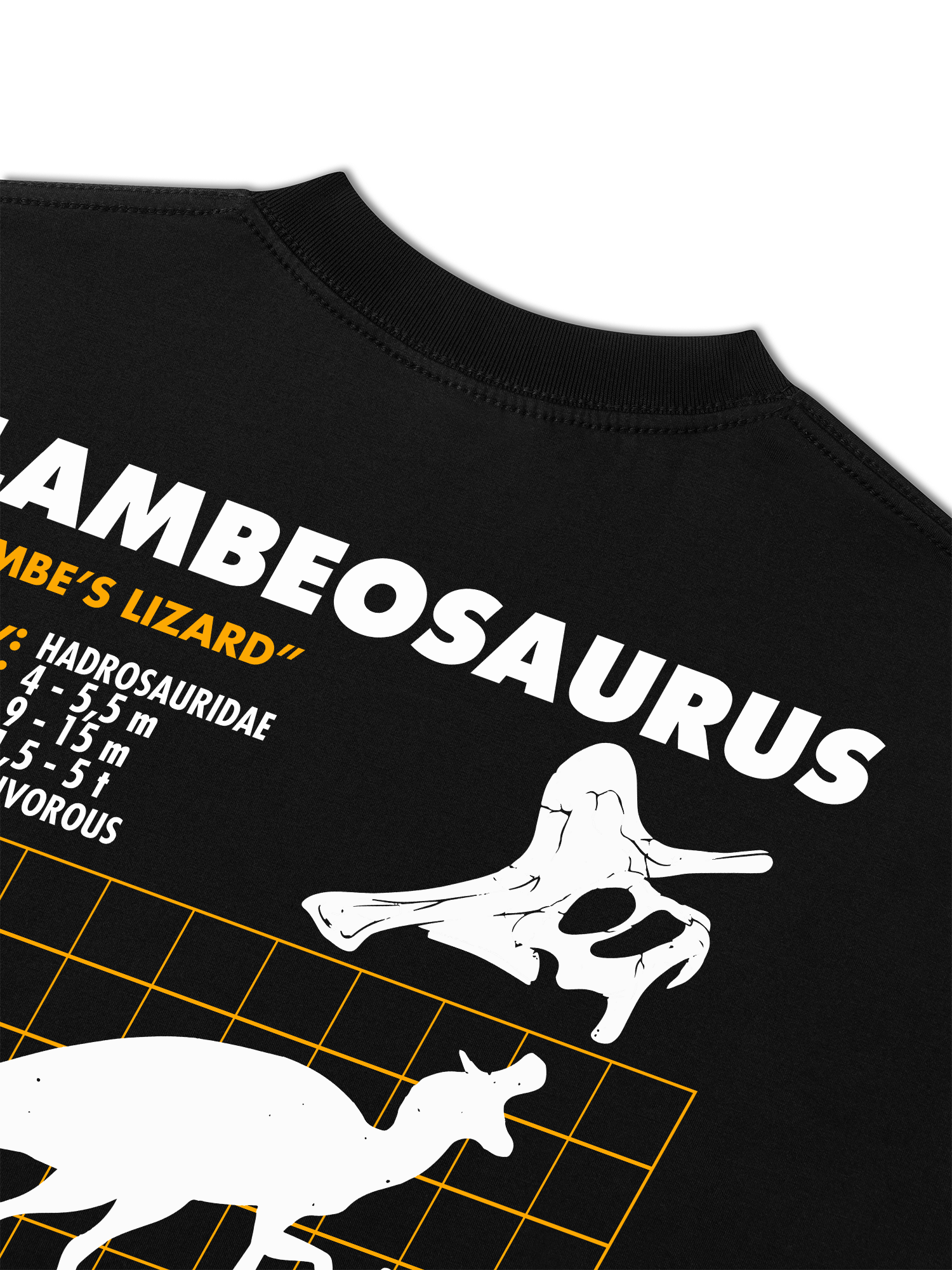 Áo Thun Relaxed Fit Analysis Table Lambeosaurus