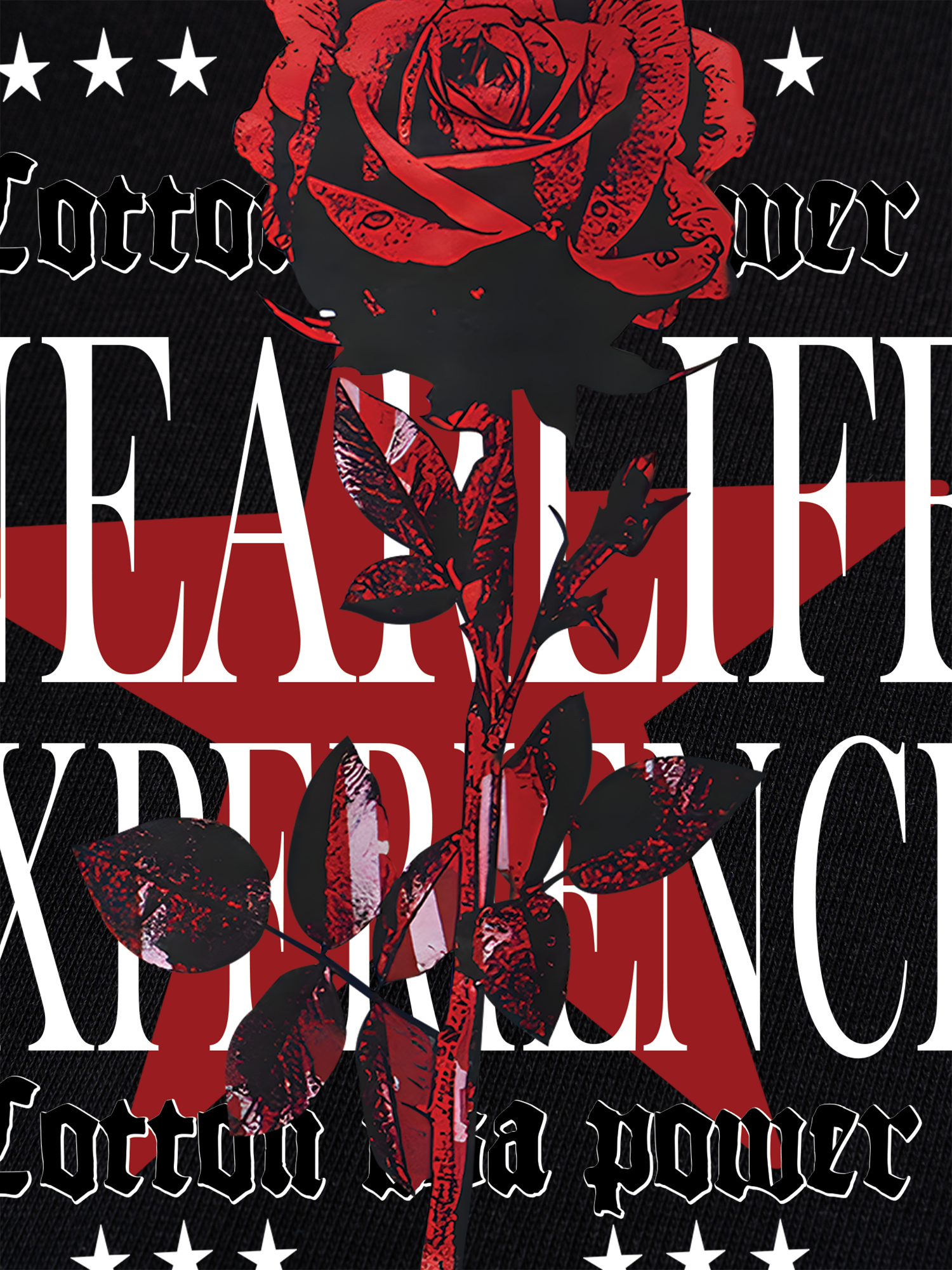 Áo Thun Ringer Relaxed Fit Floral Rose Flower