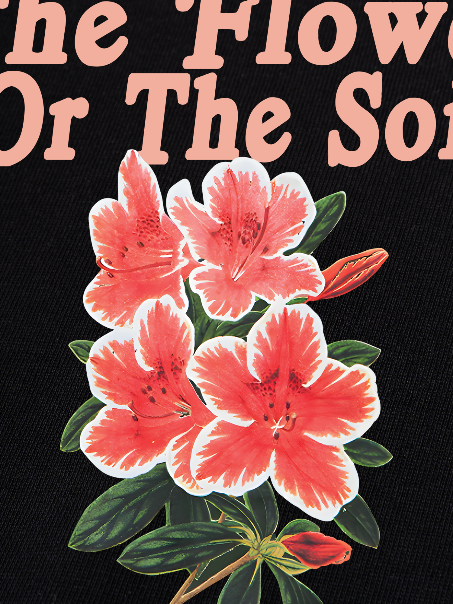 Áo Thun Ringer Relaxed Fit Floral The Soil