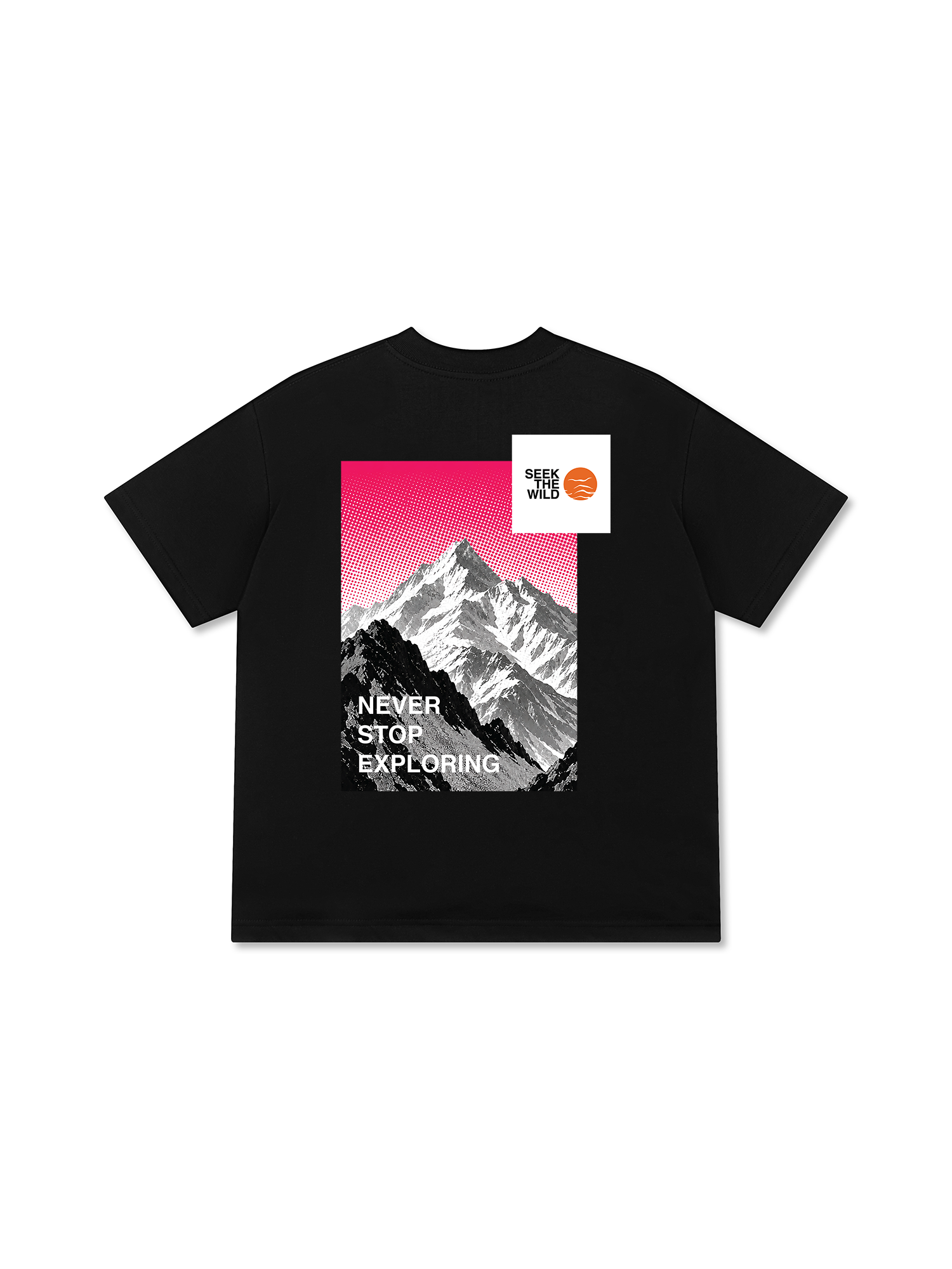 Áo Thun Relaxed Fit Adventure Seek The Wild 17