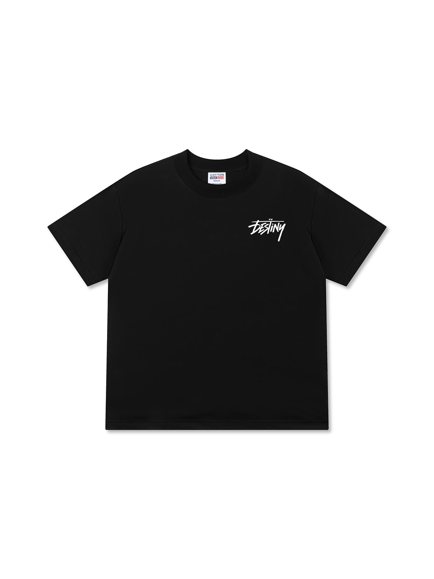 Áo Thun Relaxed Fit Destiny All In
