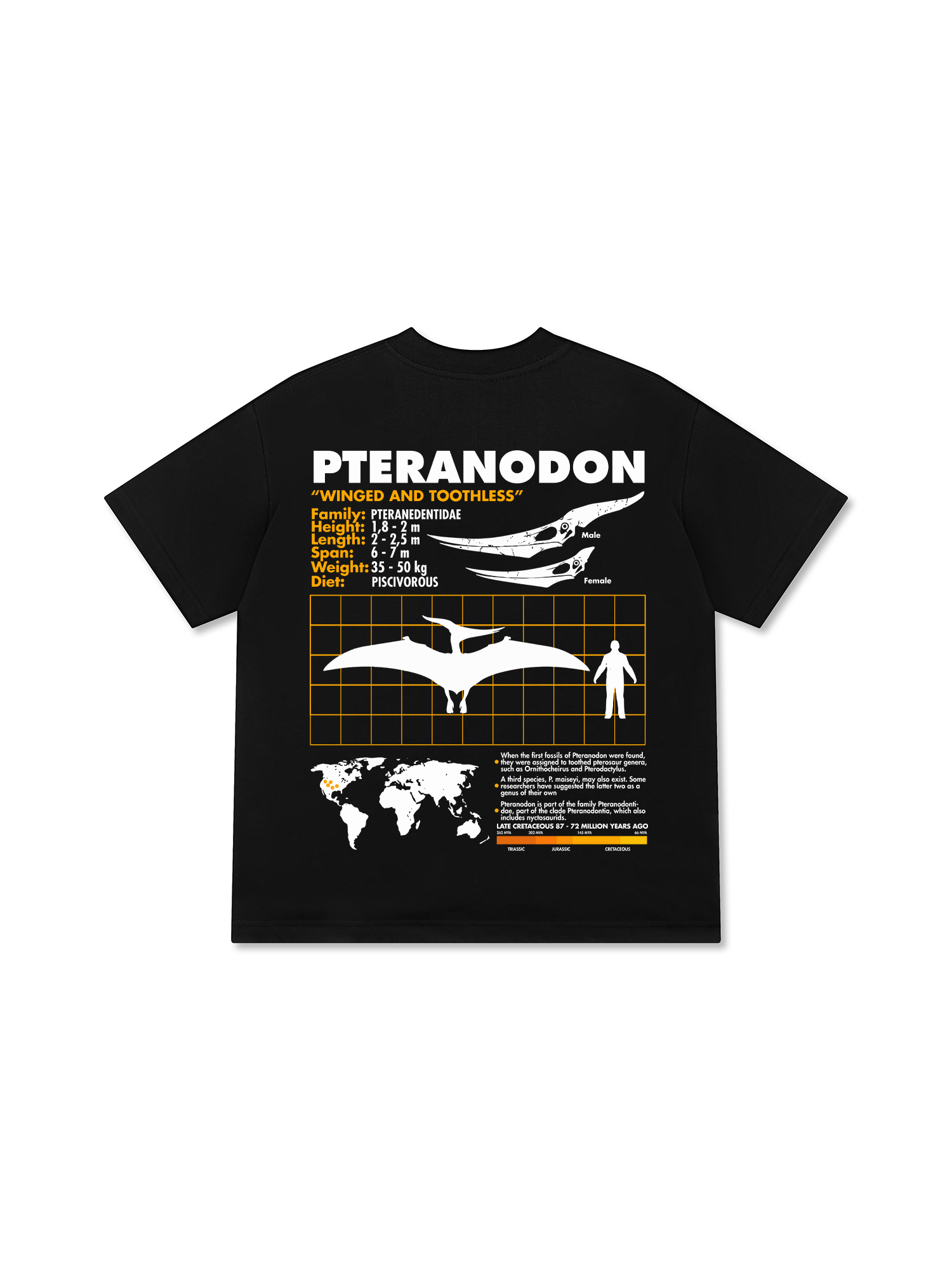 Áo Thun Relaxed Fit Wild Life Analysis Table Pteranodon