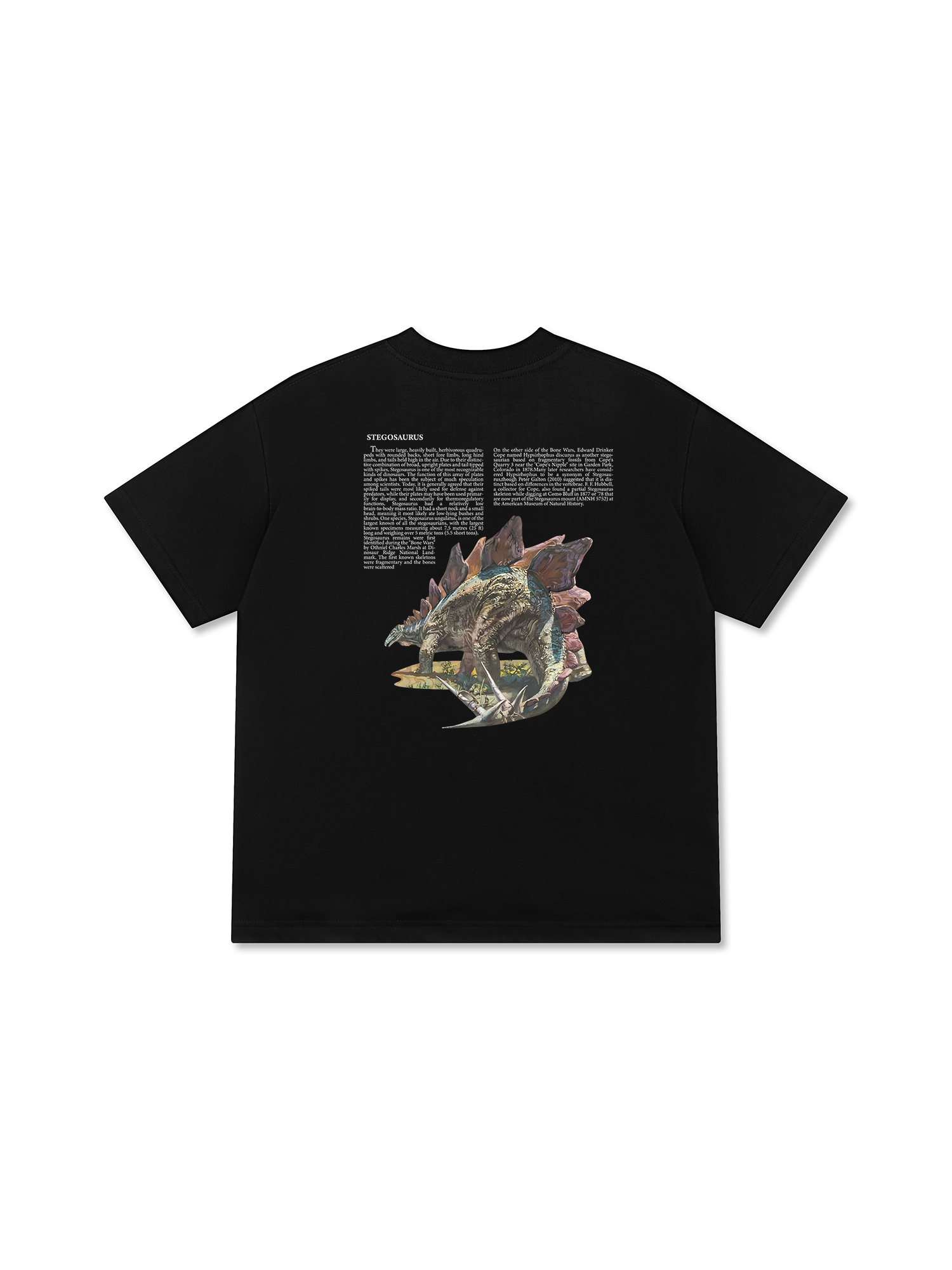 Áo Thun Relaxed Fit Stegosaurus Archive