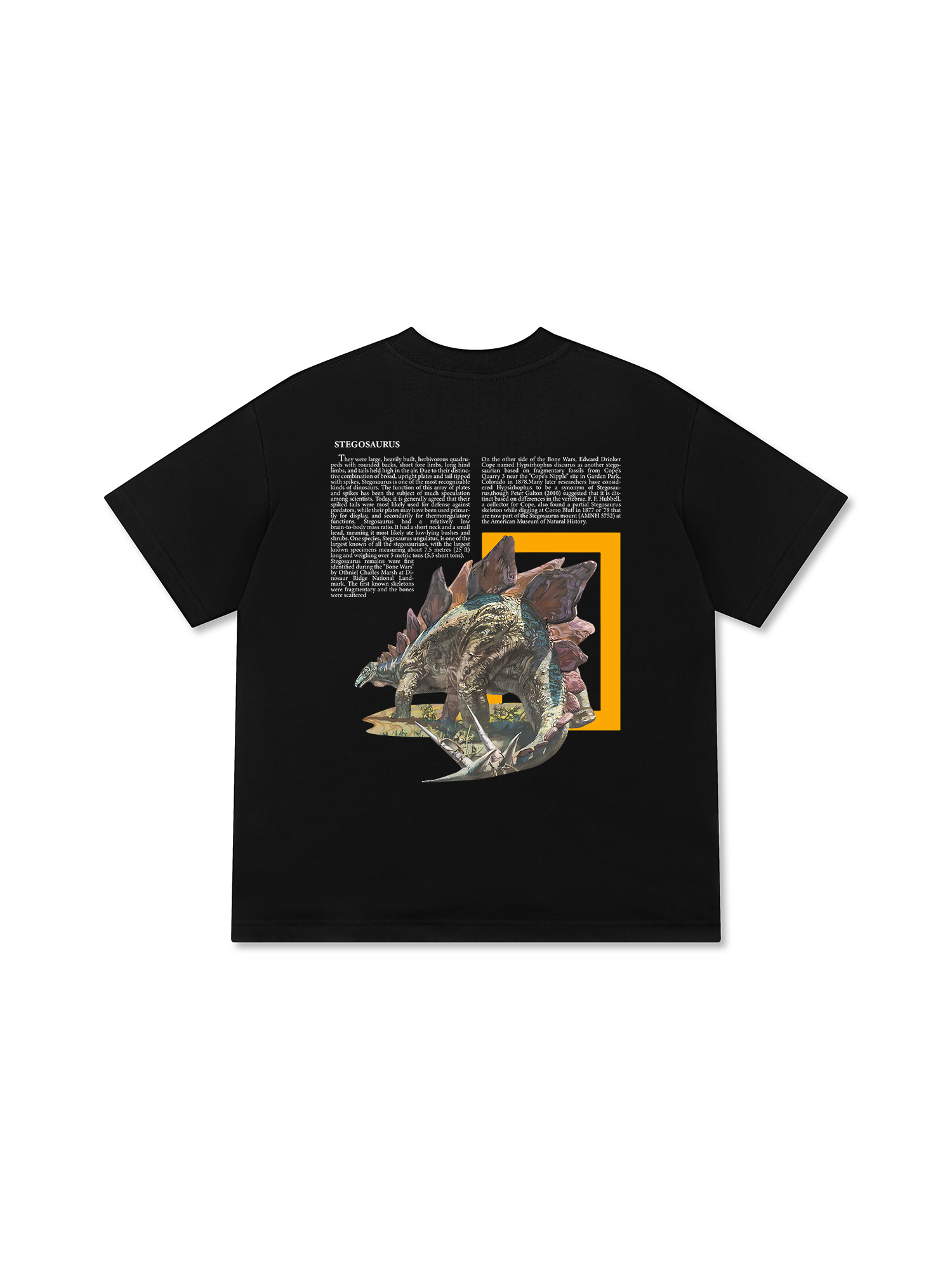 Áo Thun Relaxed Fit Wild Life Stegosaurus