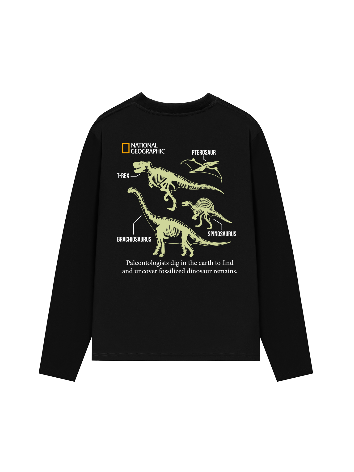 Áo Thun Dài Tay Wild Life World Of Dino