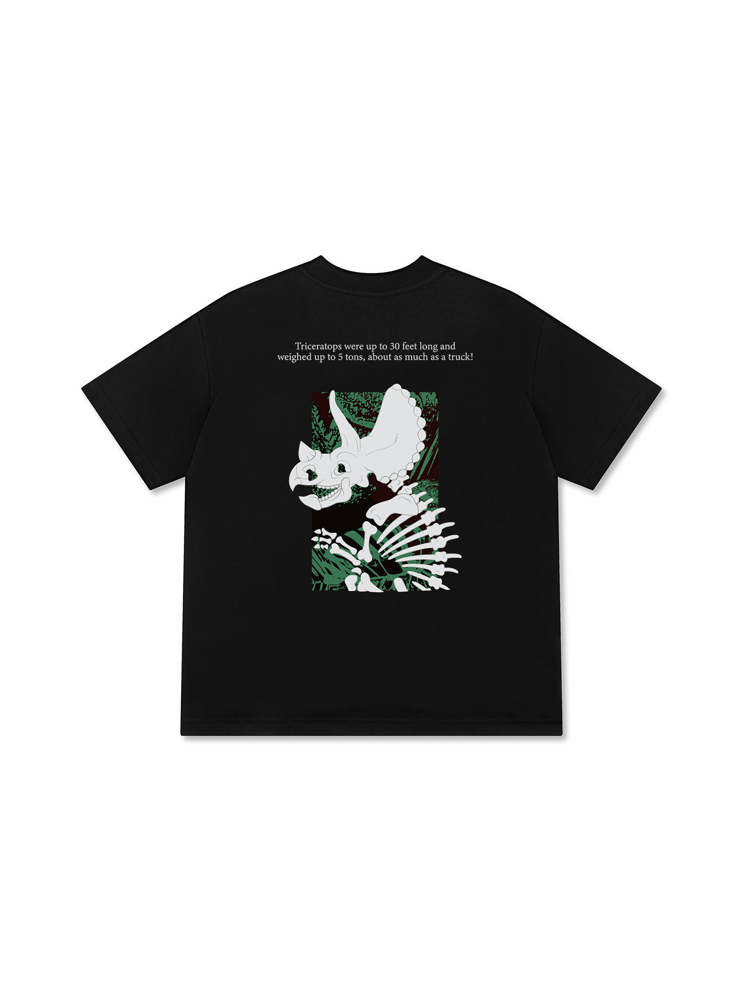 Áo Thun Relaxed Fit Triceratops