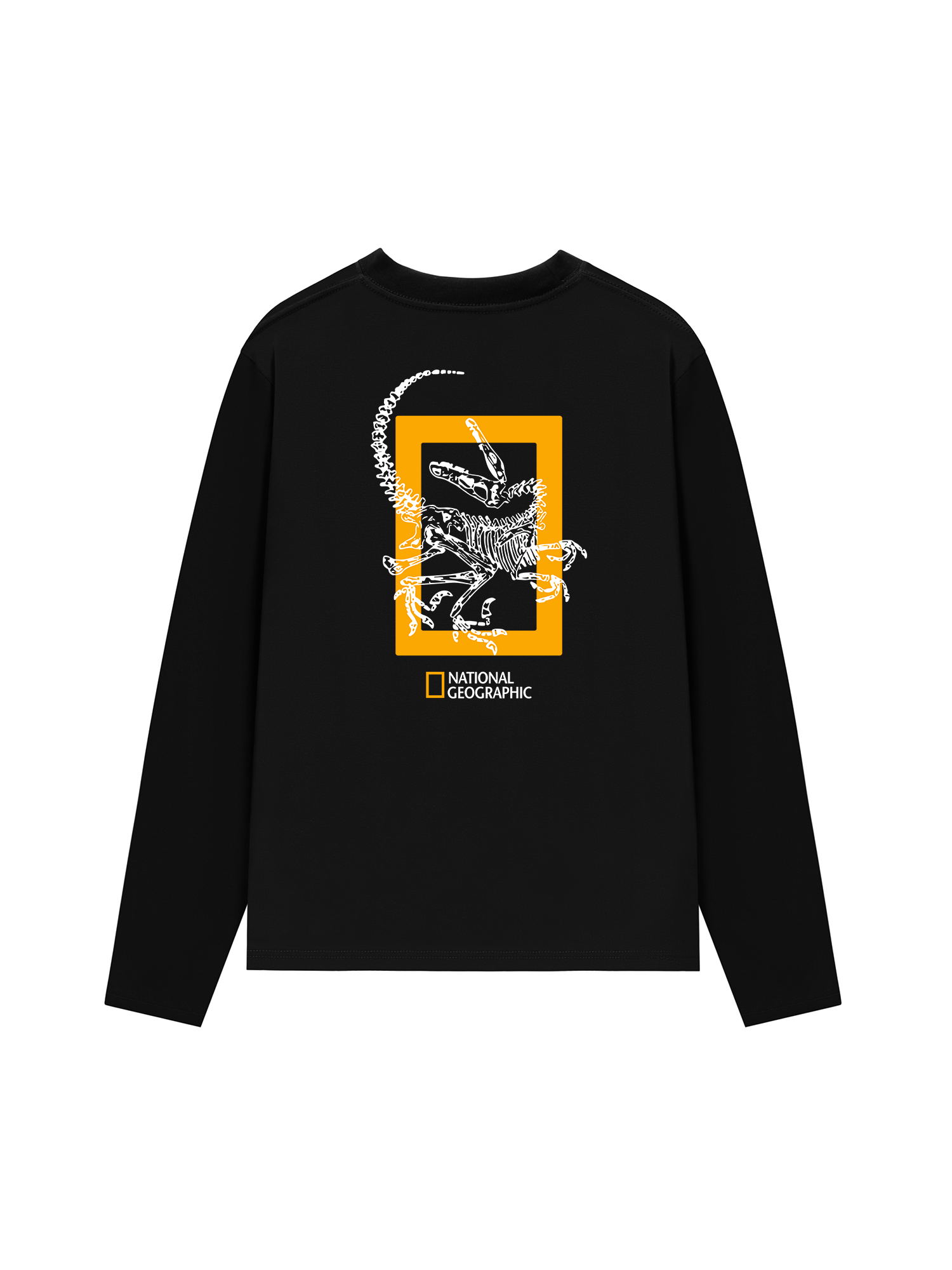 Áo Thun Dài Tay Wild Life The Fossil Raptor