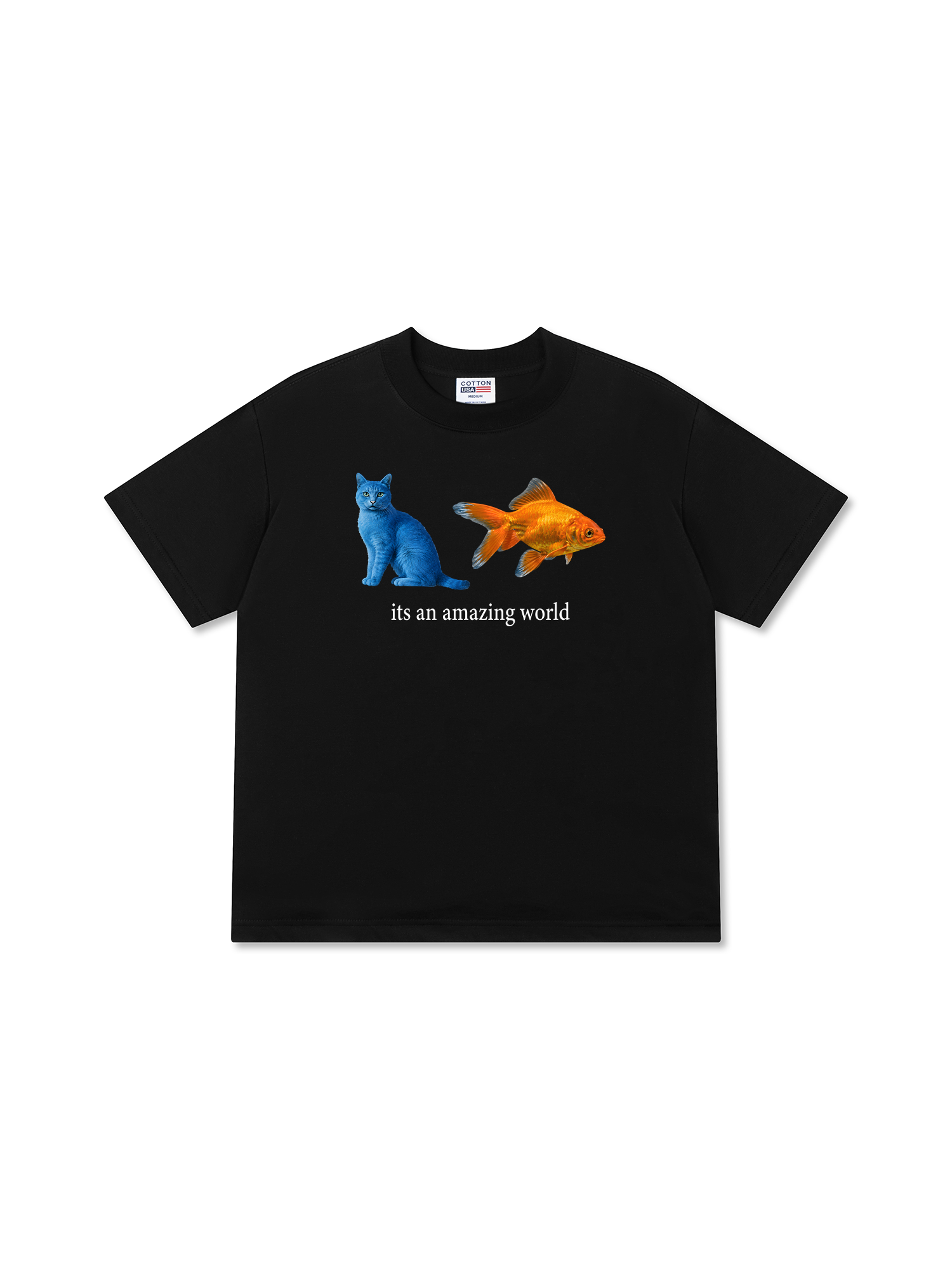 Áo Thun Relaxed Fit Its An Amazing World