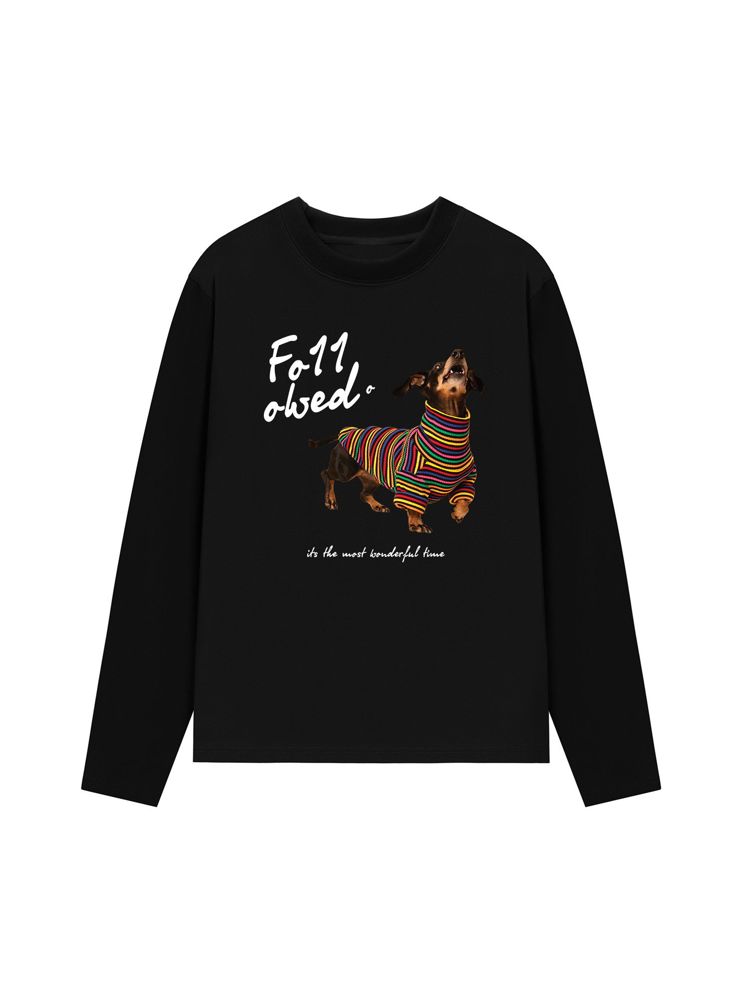 Áo Thun Dài Tay Rainbow Sweater With Dog