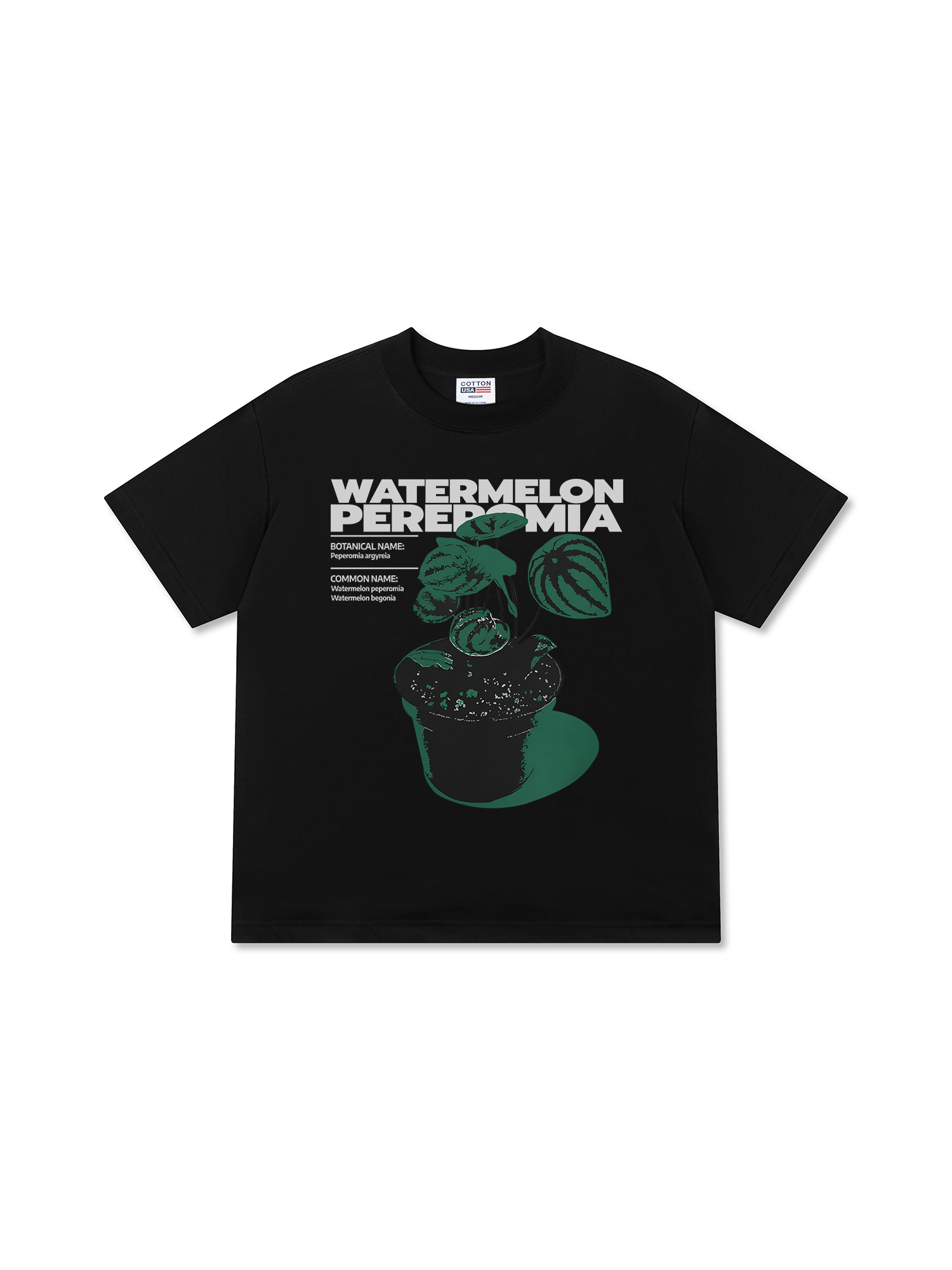 Áo Thun Relaxed Fit Tropical Watermelon Pereromia