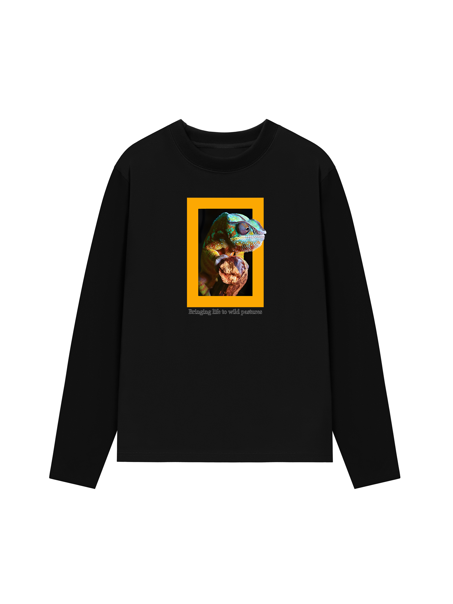 Áo Thun Dài Tay Wild Life Wild Pastures