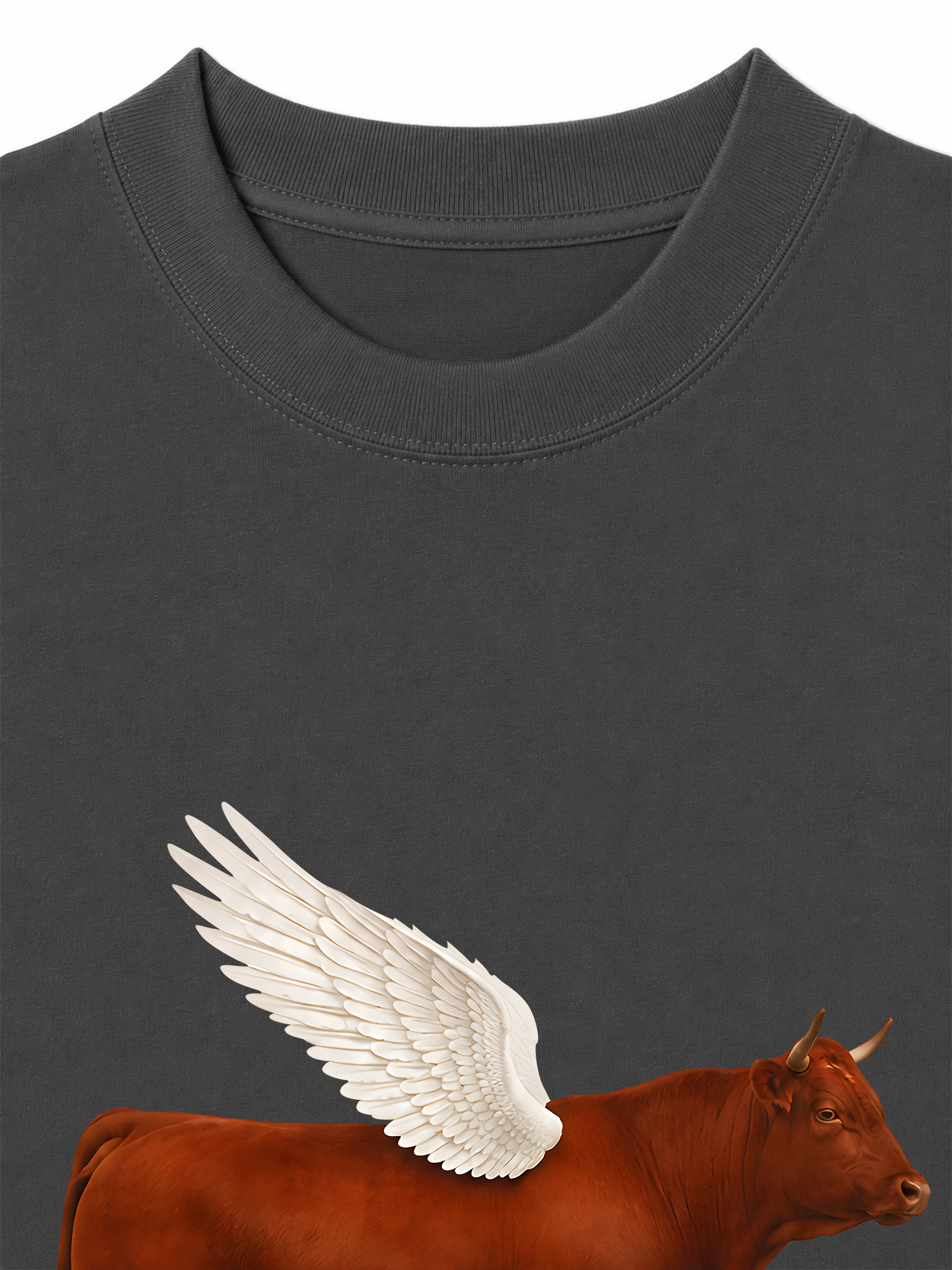 Áo Thun Relaxed Fit Find Your Wings