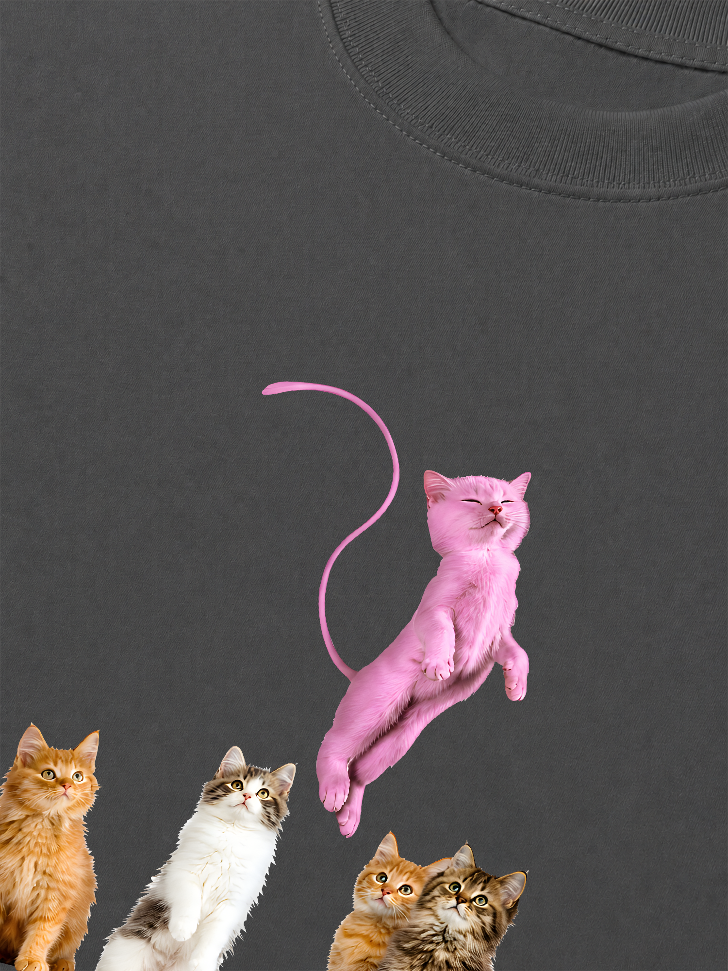 Áo Thun Relaxed Fit I Just Gotta Be Mew