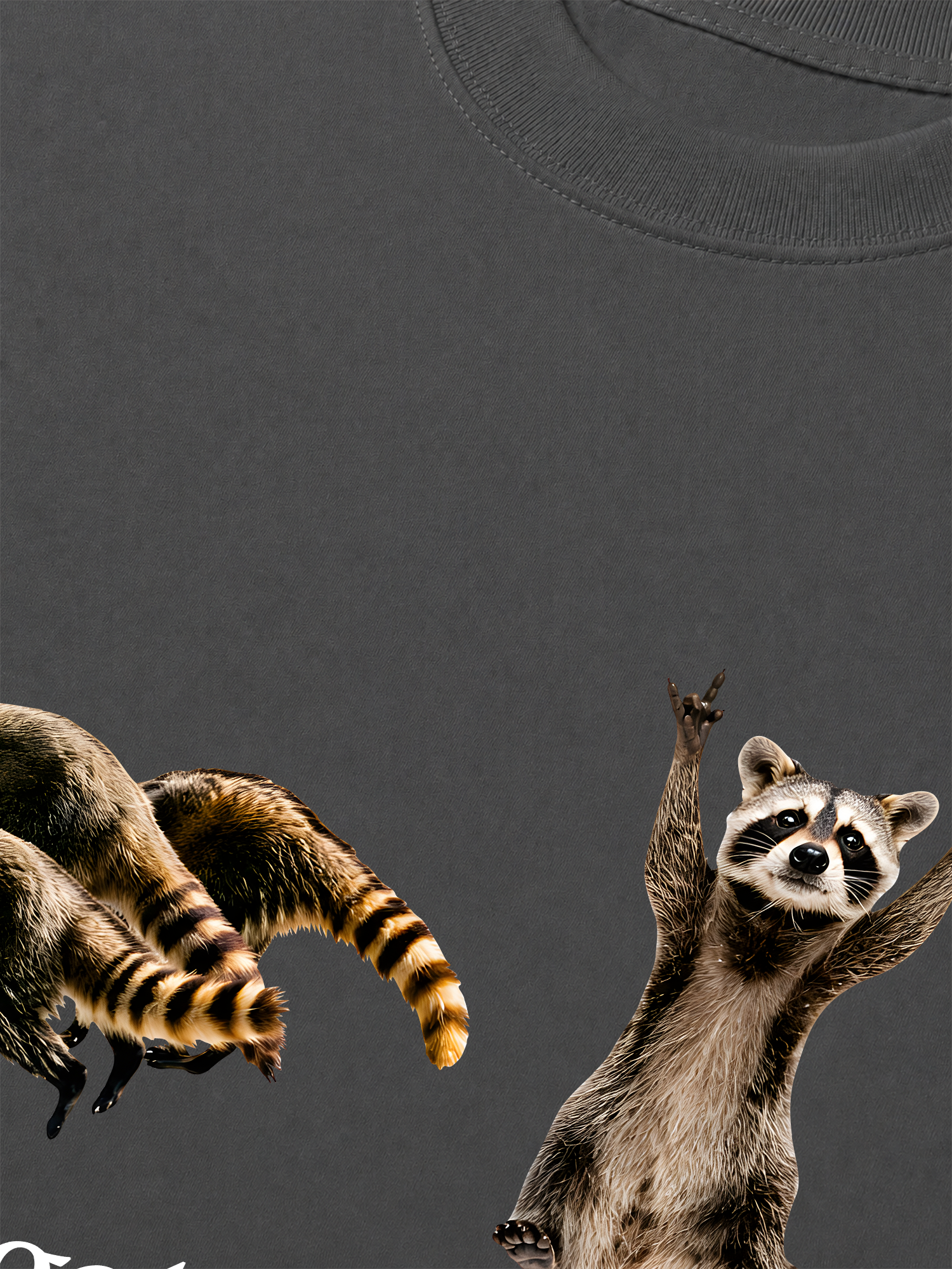 Áo Thun Relaxed Fit I Just Gotta Be Me Raccoon