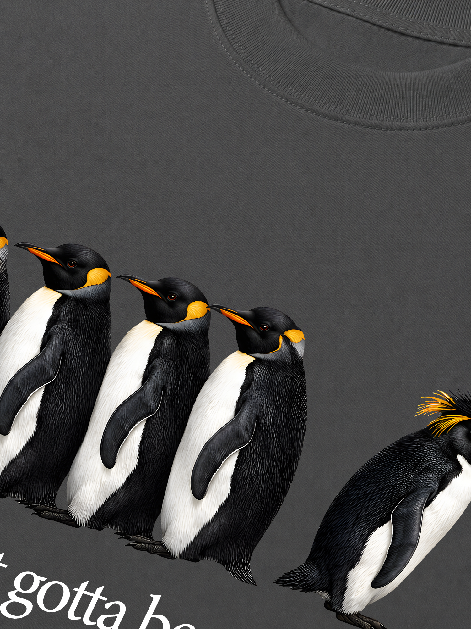 Áo Thun Relaxed Fit I Just Gotta Be Me Penguin