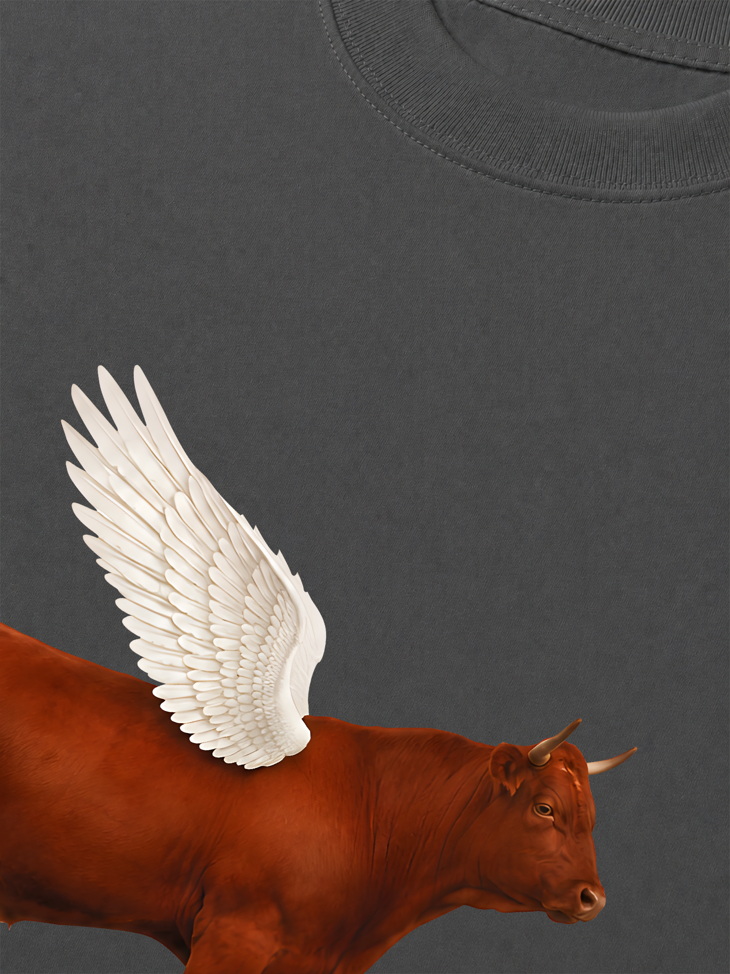Áo Thun Relaxed Fit Find Your Wings
