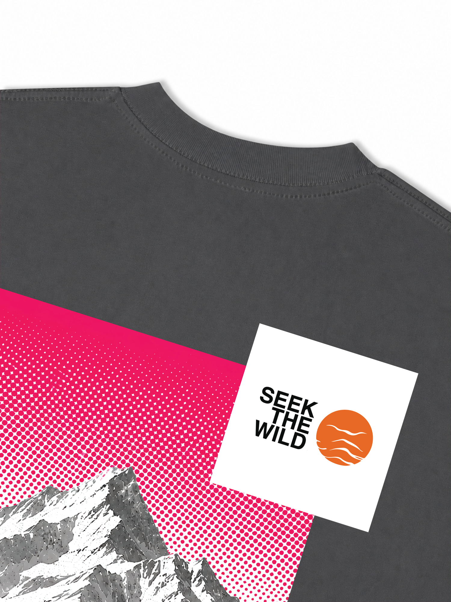 Áo Thun Relaxed Fit Adventure Seek The Wild 17