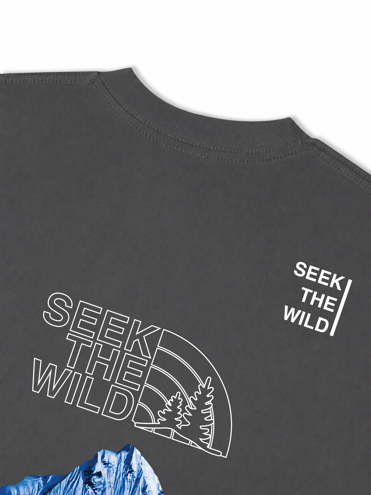 Áo Thun Relaxed Fit Adventure Seek The Wild Never Stop Exploring 6