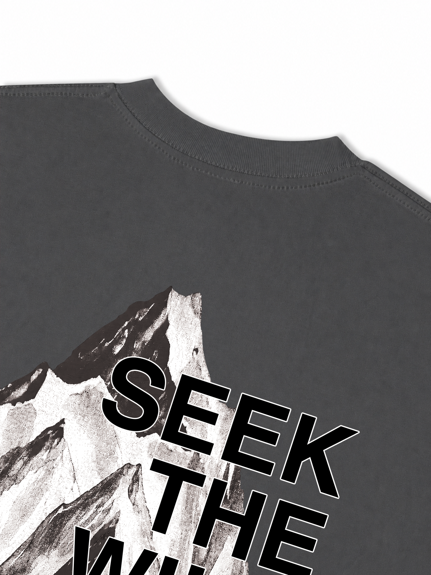 Áo Thun Relaxed Fit Adventure Seek The Wild 3