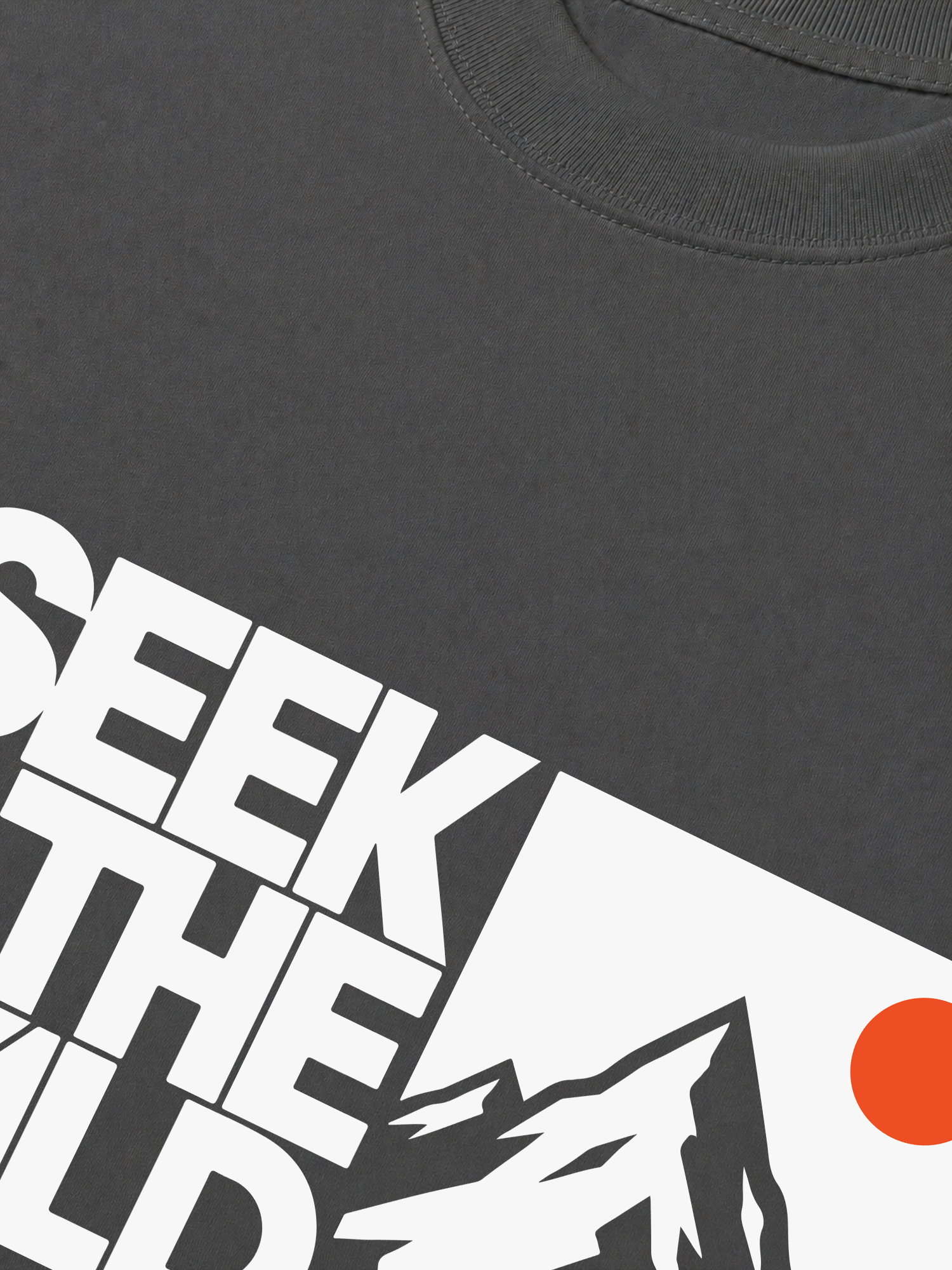 Áo Thun Relaxed Fit Adventure Seek The Wild 7