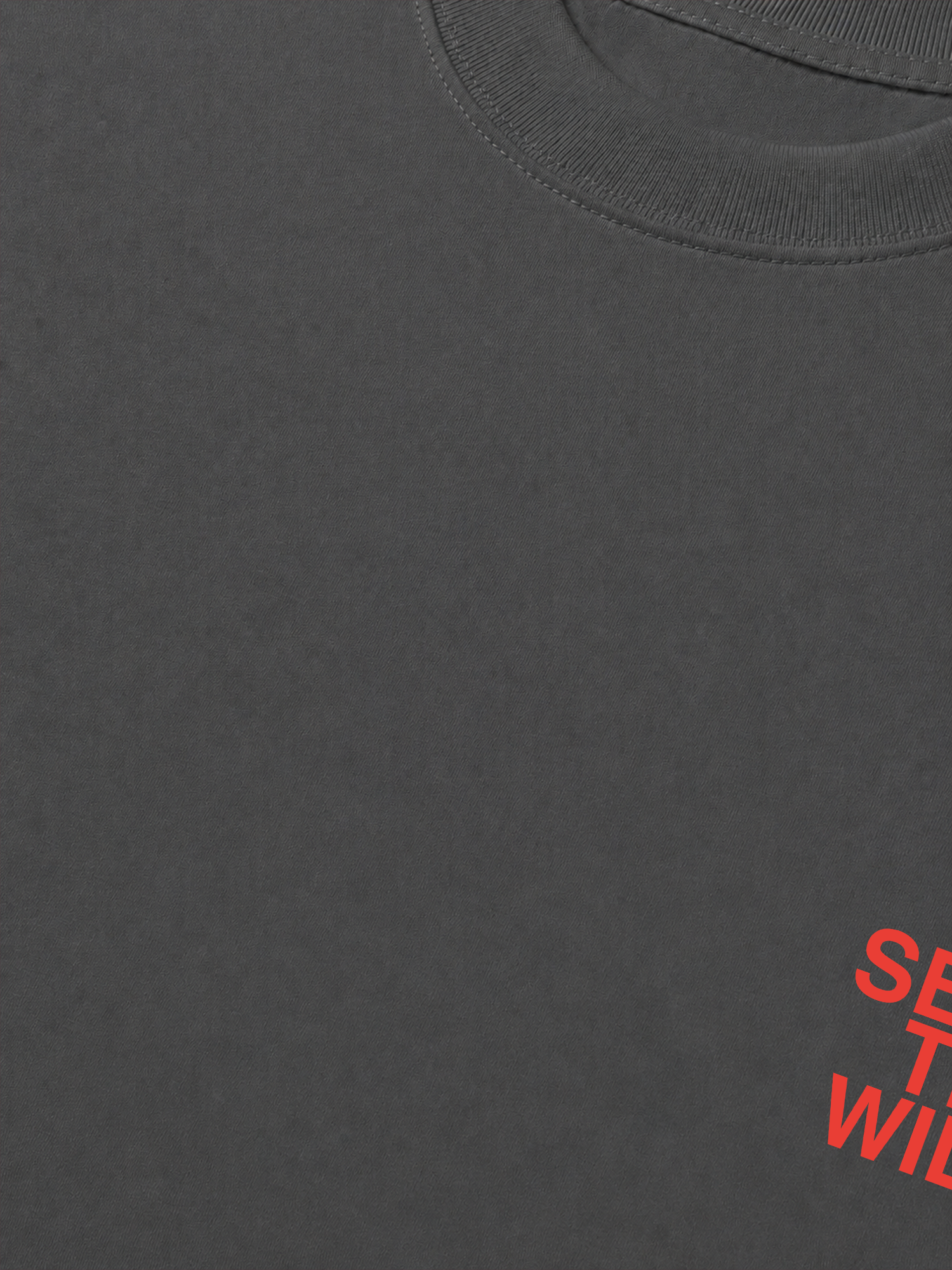Áo Thun Relaxed Fit Adventure Seek The Wild Since 2026