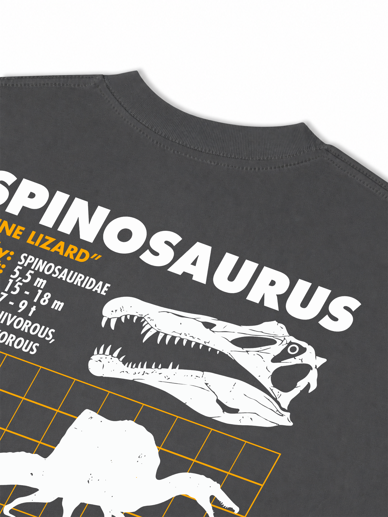 Áo Thun Relaxed Fit Analysis Table Spinosaurus