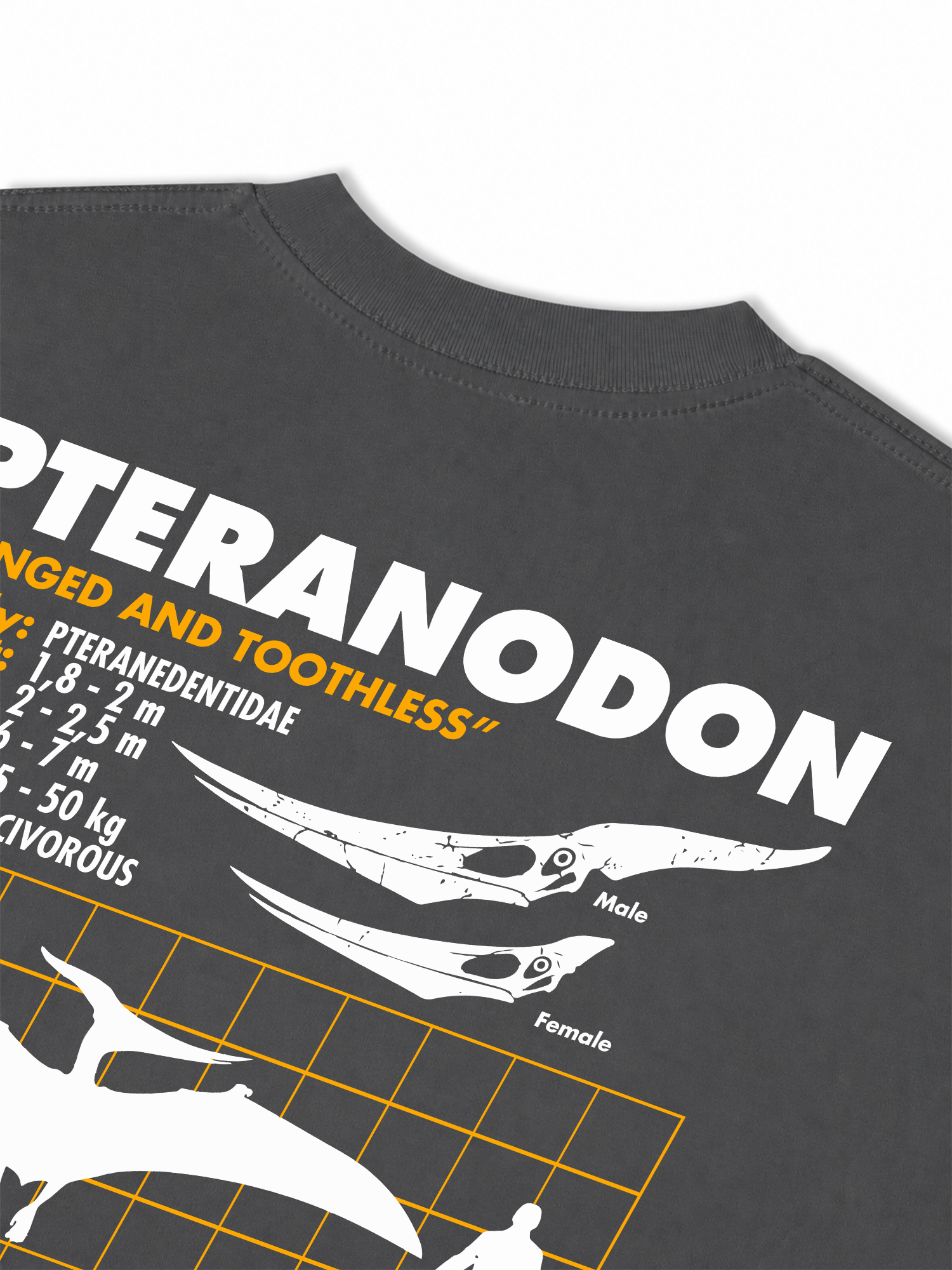 Áo Thun Relaxed Fit Analysis Table Pteranodon
