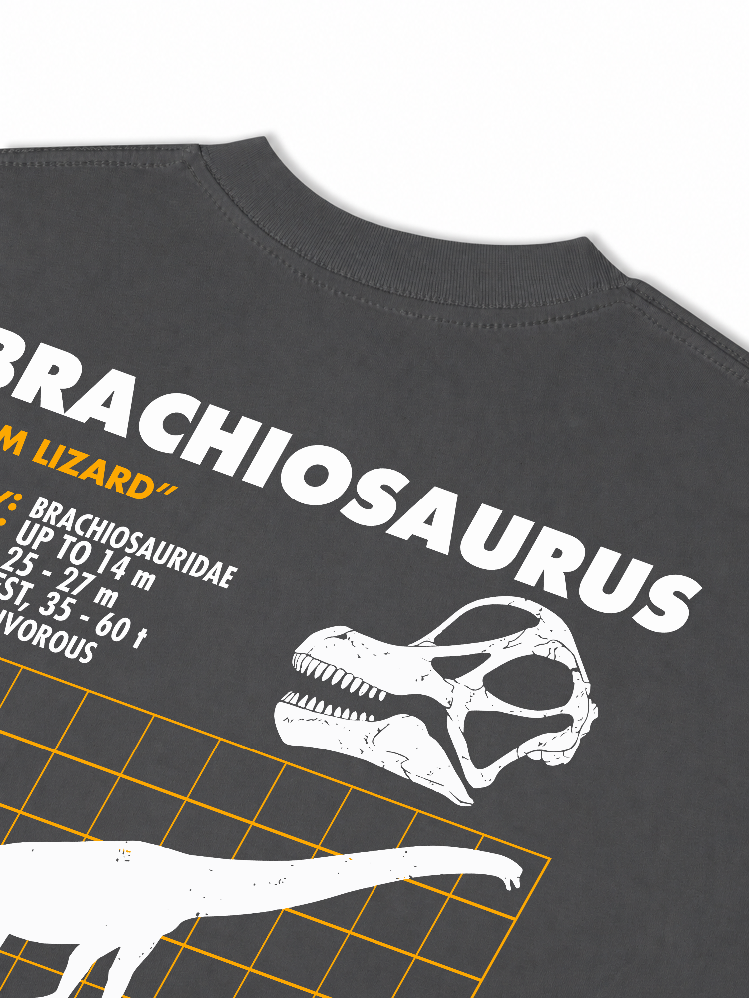 Áo Thun Relaxed Fit Analysis Table Brachiosaurus