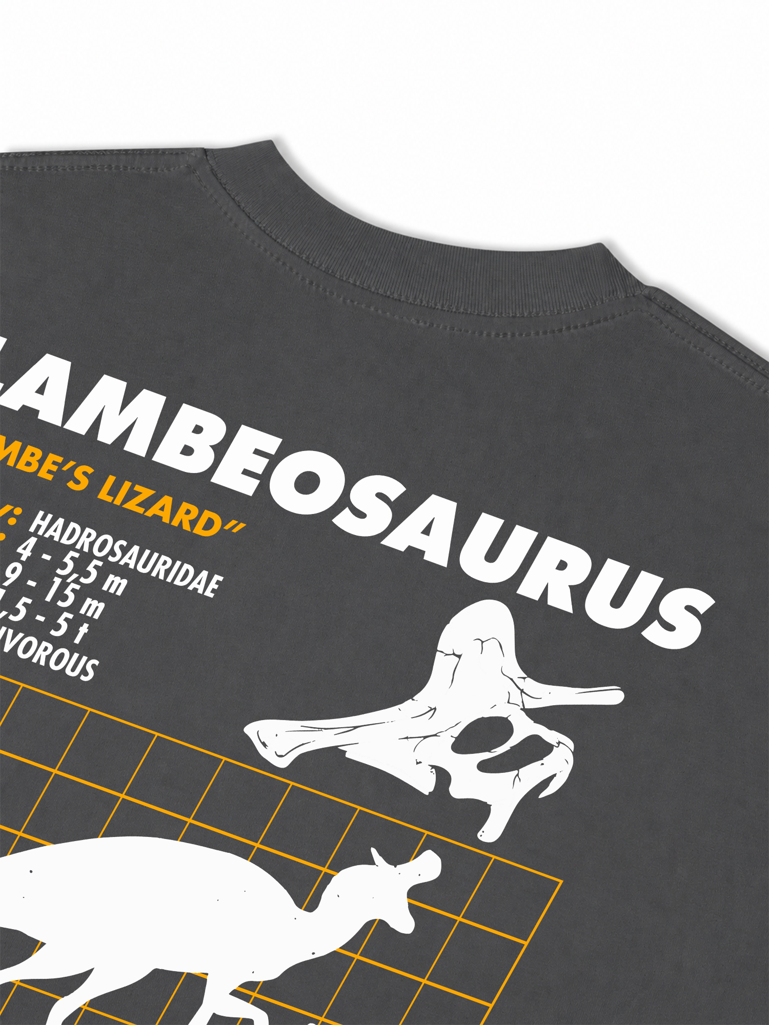 Áo Thun Relaxed Fit Analysis Table Lambeosaurus