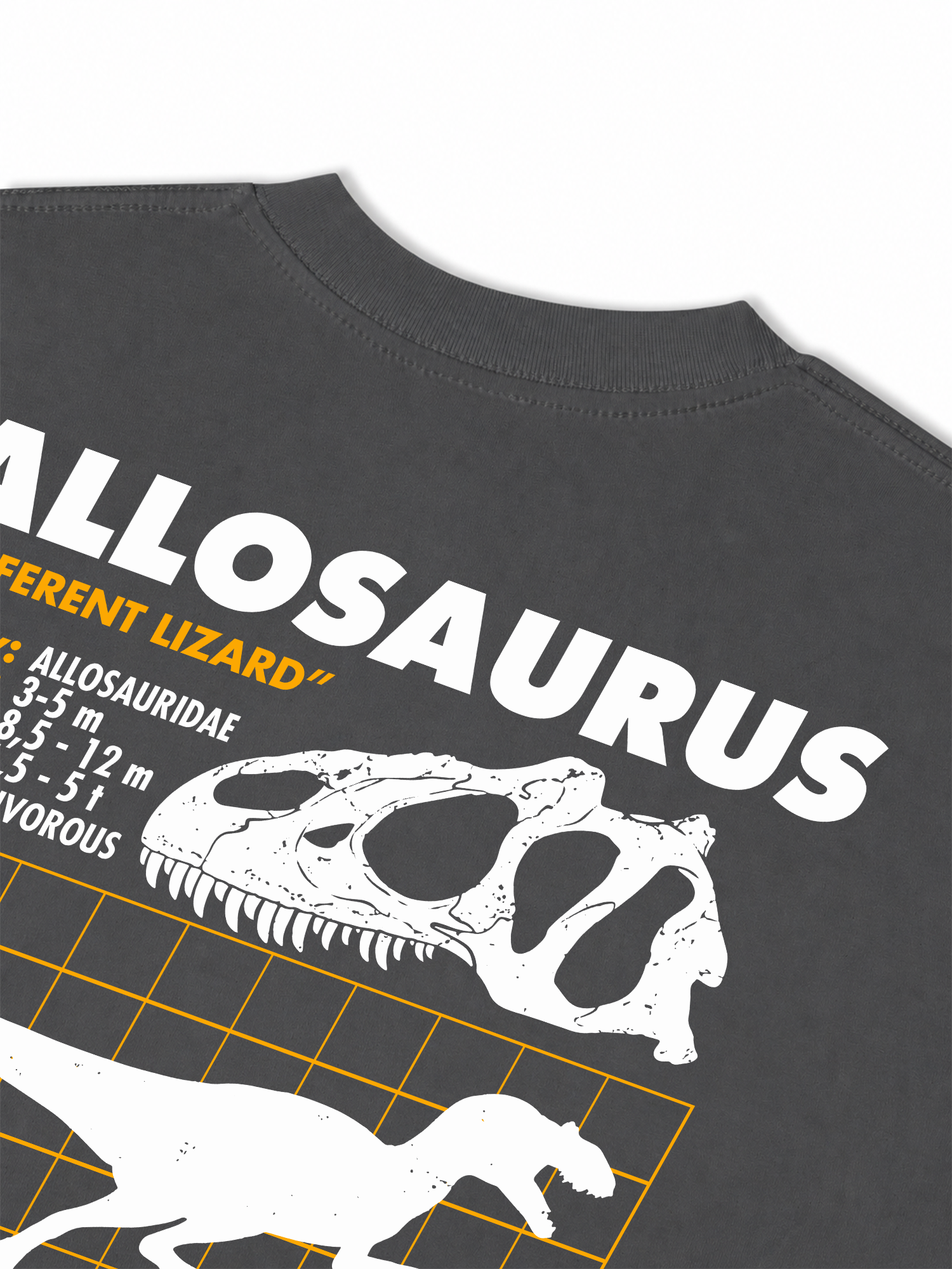Áo Thun Relaxed Fit Analysis Table Allosaurus