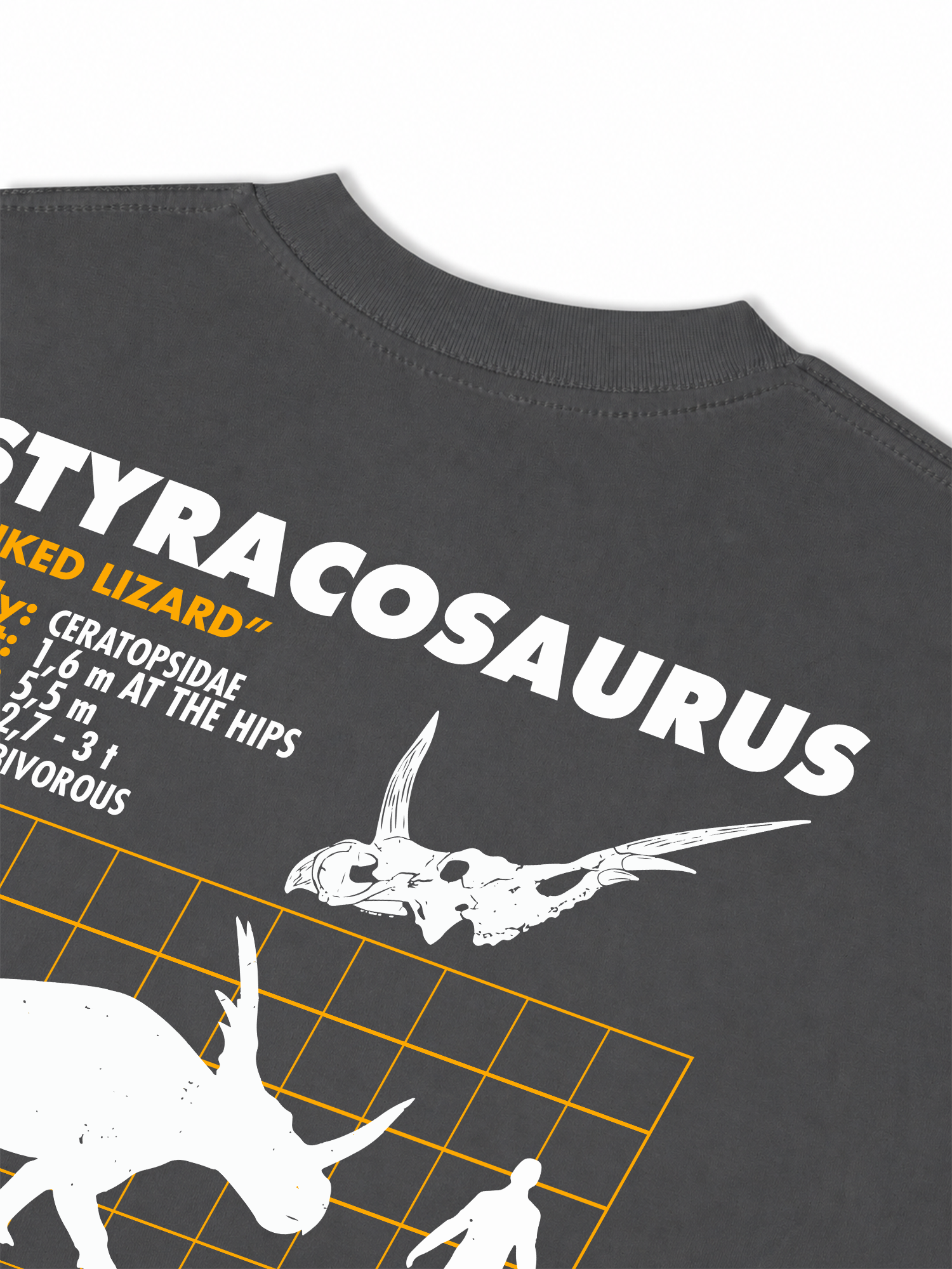Áo Thun Relaxed Fit Analysis Table Styracosaurus